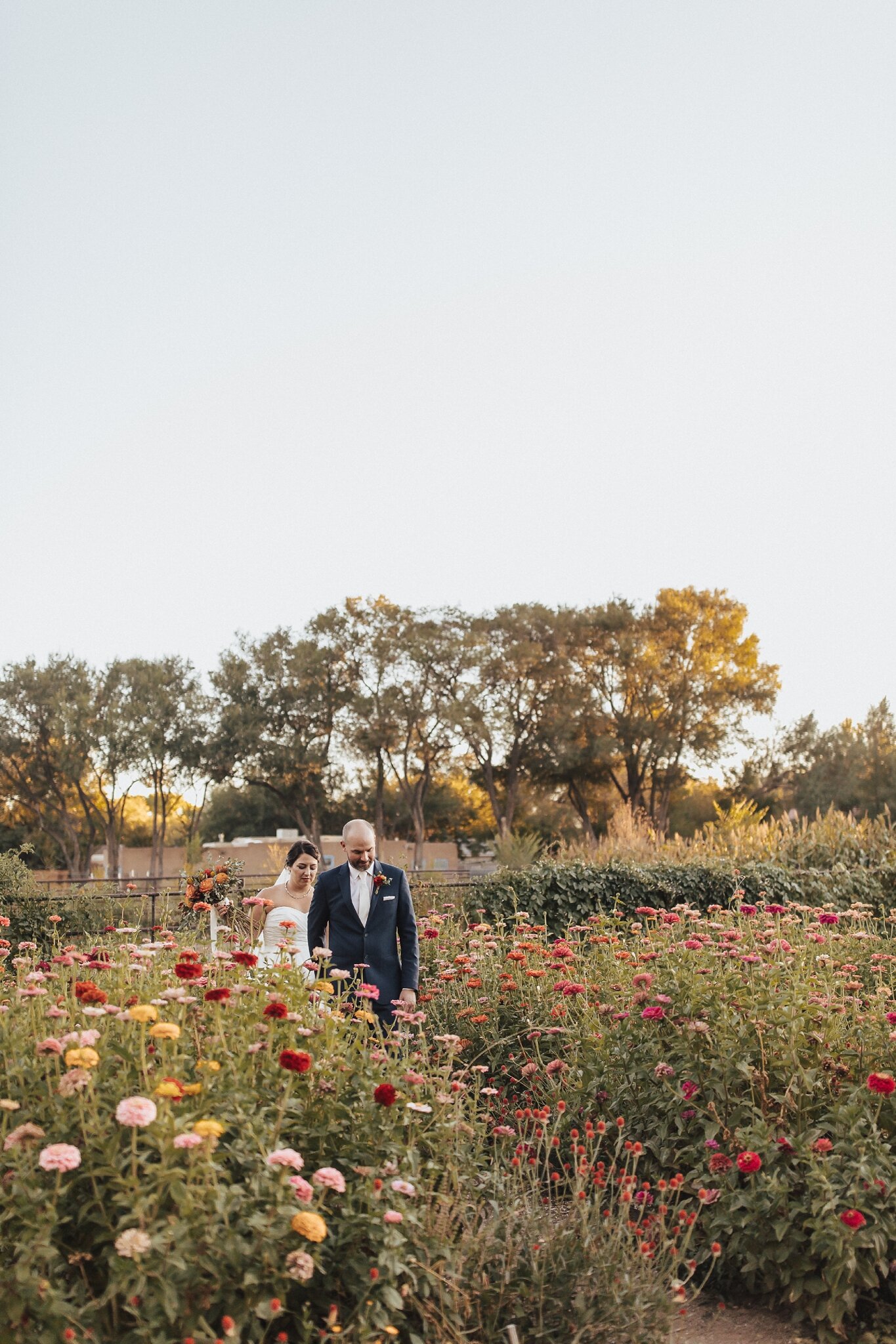 Alicia+lucia+photography+-+albuquerque+wedding+photographer+-+santa+fe+wedding+photography+-+new+mexico+wedding+photographer+-+new+mexico+wedding+-+new+mexico+elopement+-+farm+wedding+-+farm+elopement+-+old+town+farm+wedding_0062.jpg