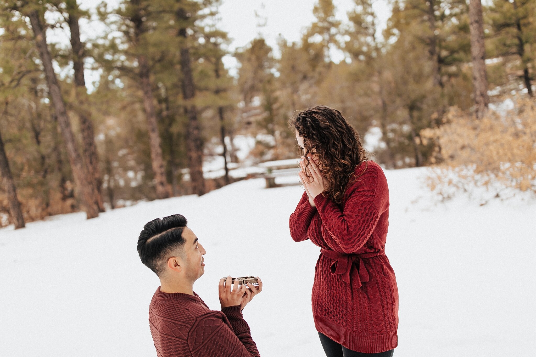 Alicia+lucia+photography+-+albuquerque+wedding+photographer+-+santa+fe+wedding+photography+-+new+mexico+wedding+photographer+-+new+mexico+wedding+-+proposal+-+surprise+proposal+-+winter+proposal+-+new+mexico+engagement_0032.jpg