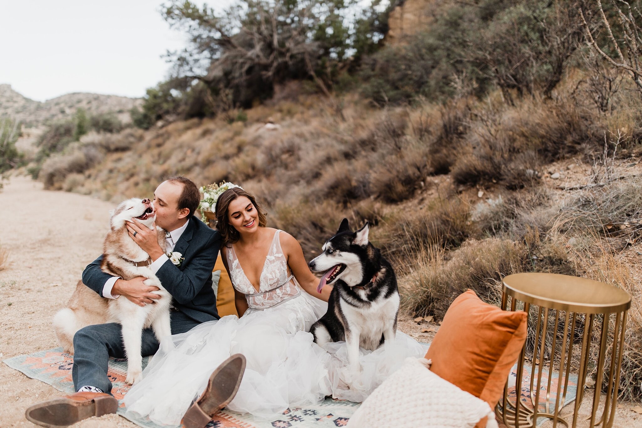 Alicia+lucia+photography+-+albuquerque+wedding+photographer+-+santa+fe+wedding+photography+-+new+mexico+wedding+photographer+-+new+mexico+wedding+-+intimate+wedding+-+destination+wedding+-+destination+elopement+-+southwest+wedding_0043.jpg