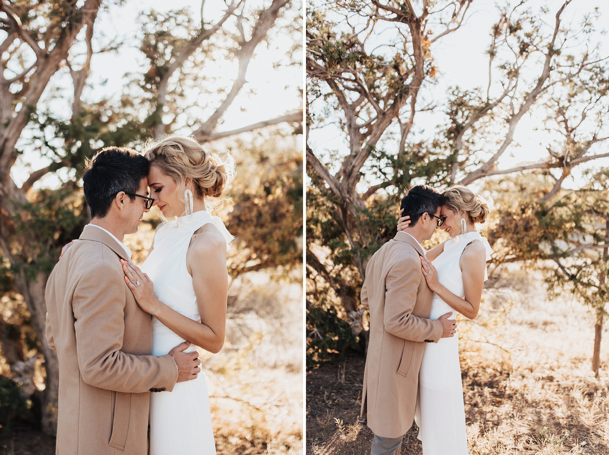 Alicia+lucia+photography+-+albuquerque+wedding+photographer+-+santa+fe+wedding+photography+-+new+mexico+wedding+photographer+-+new+mexico+wedding+-+elopement+-+new+mexico+elopement+-+ranch+elopement+-+ranch+wedding+-+southwest+wedding_0035.jpg