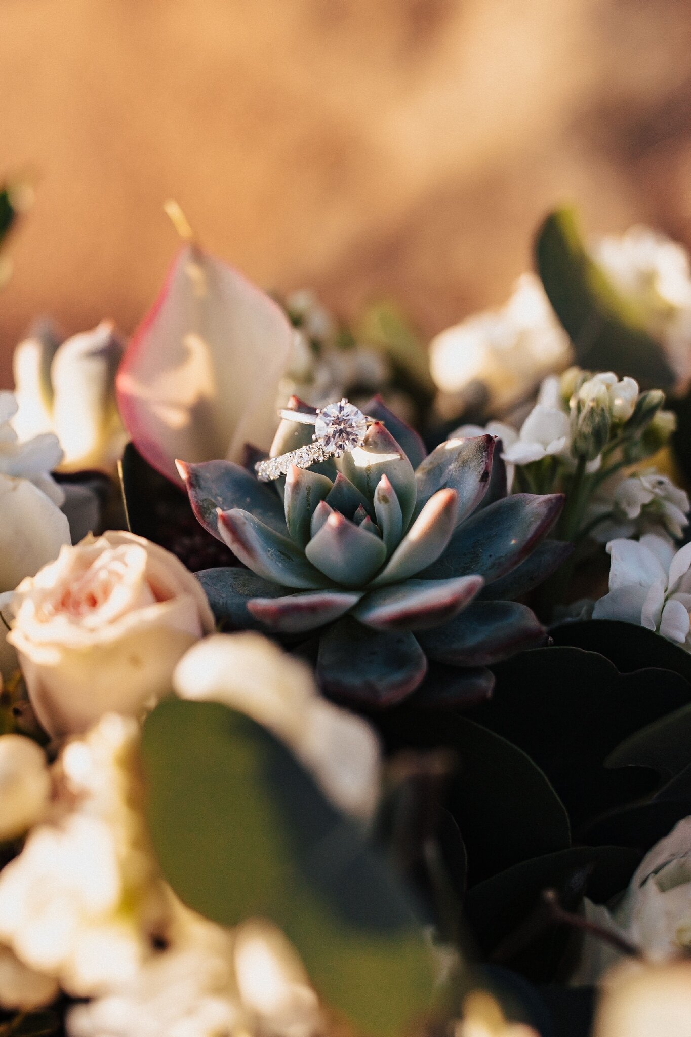 Alicia+lucia+photography+-+albuquerque+wedding+photographer+-+santa+fe+wedding+photography+-+new+mexico+wedding+photographer+-+new+mexico+wedding+-+destination+wedding+-+destination+elopement+-+southwest+wedding+-+wedding+rings_0034.jpg