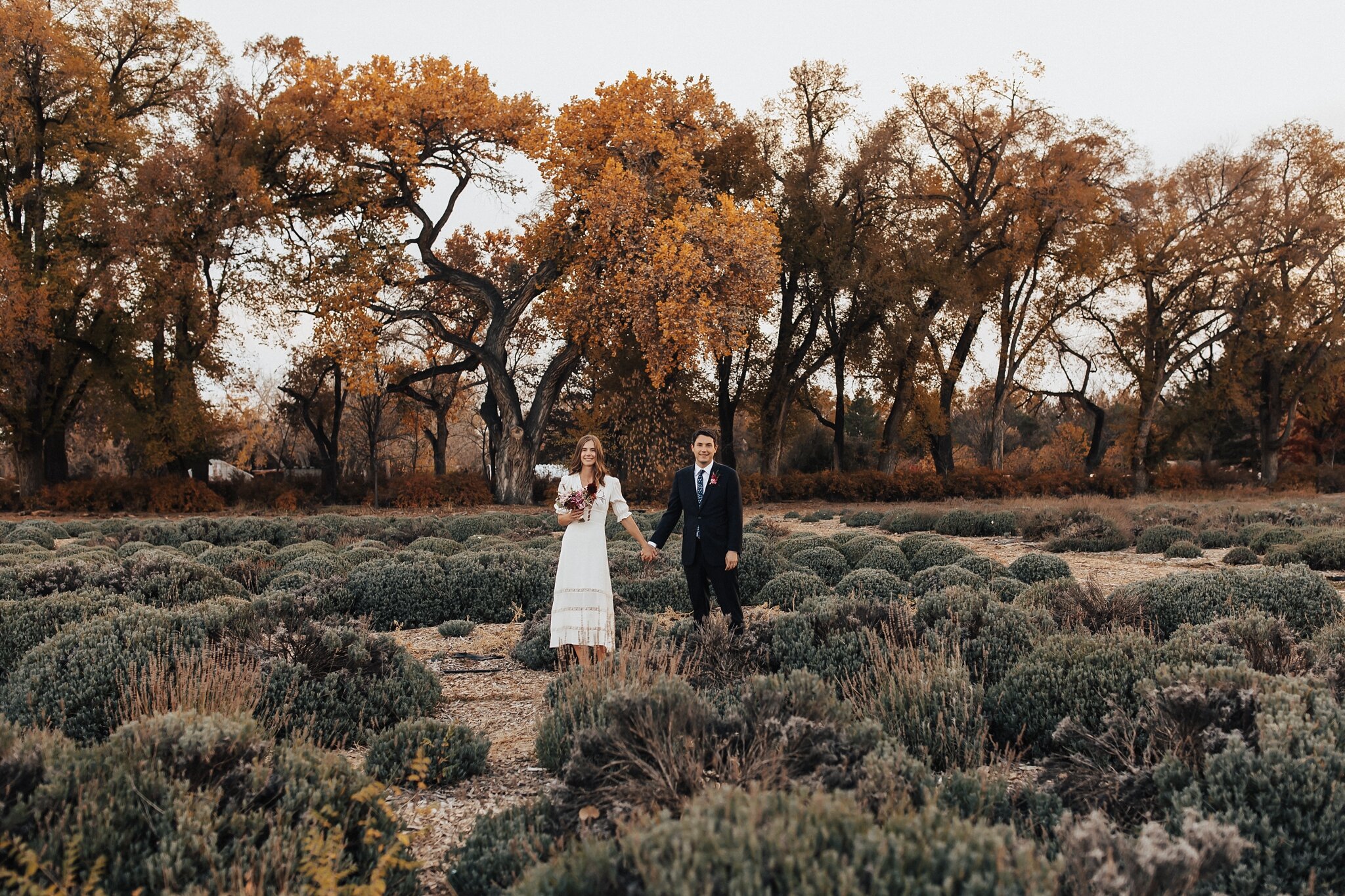 Alicia+lucia+photography+-+albuquerque+wedding+photographer+-+santa+fe+wedding+photography+-+new+mexico+wedding+photographer+-+new+mexico+wedding+-+los+poblanos+-+los+poblanos+wedding+-+los+poblanos+elopement_0064.jpg