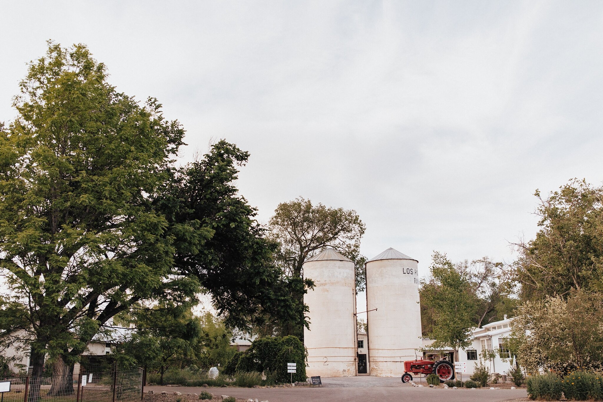 Alicia+lucia+photography+-+albuquerque+wedding+photographer+-+santa+fe+wedding+photography+-+new+mexico+wedding+photographer+-+new+mexico+wedding+-+elopement+-+new+mexico+elopement+-+southwest+elopement_0001.jpg