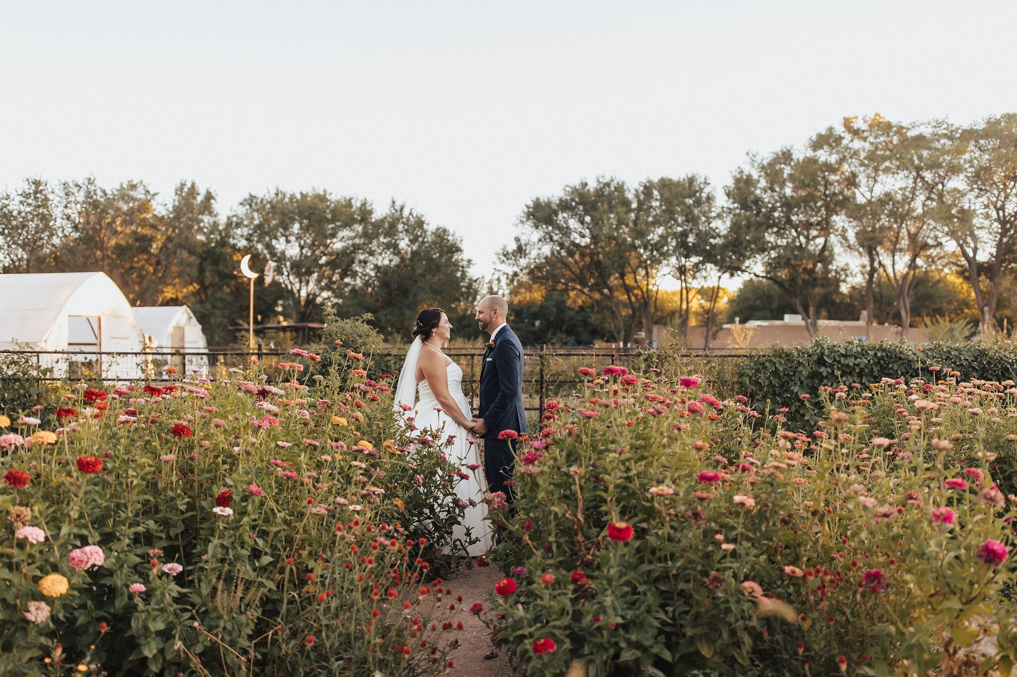 Alicia+lucia+photography+-+albuquerque+wedding+photographer+-+santa+fe+wedding+photography+-+new+mexico+wedding+photographer+-+new+mexico+wedding+-+elopement+-+new+mexico+elopement+-+southwest+elopement_0073.jpg