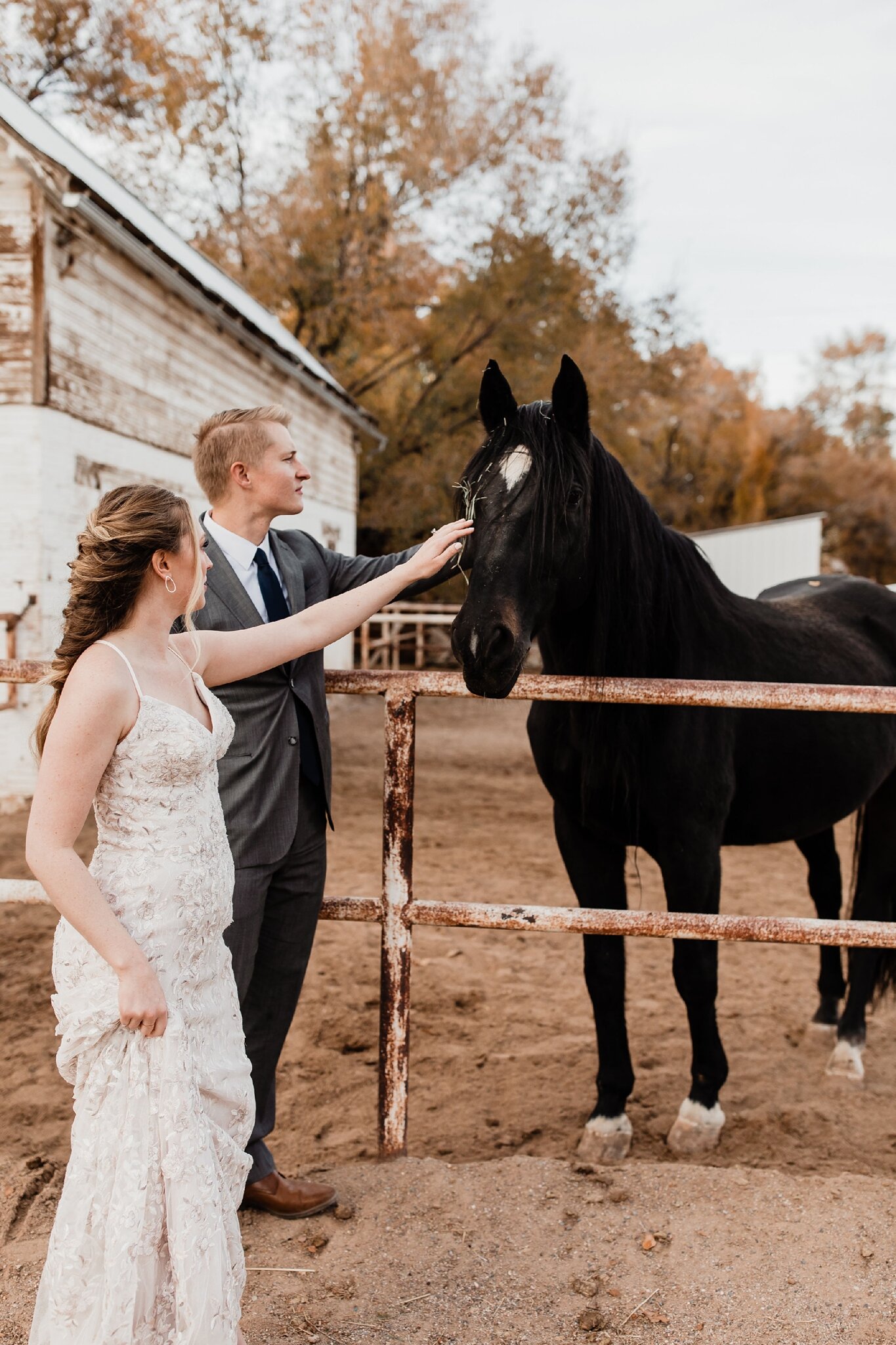 Alicia+lucia+photography+-+albuquerque+wedding+photographer+-+santa+fe+wedding+photography+-+new+mexico+wedding+photographer+-+new+mexico+wedding+-+elopement+-+new+mexico+elopement+-+southwest+elopement_0092.jpg