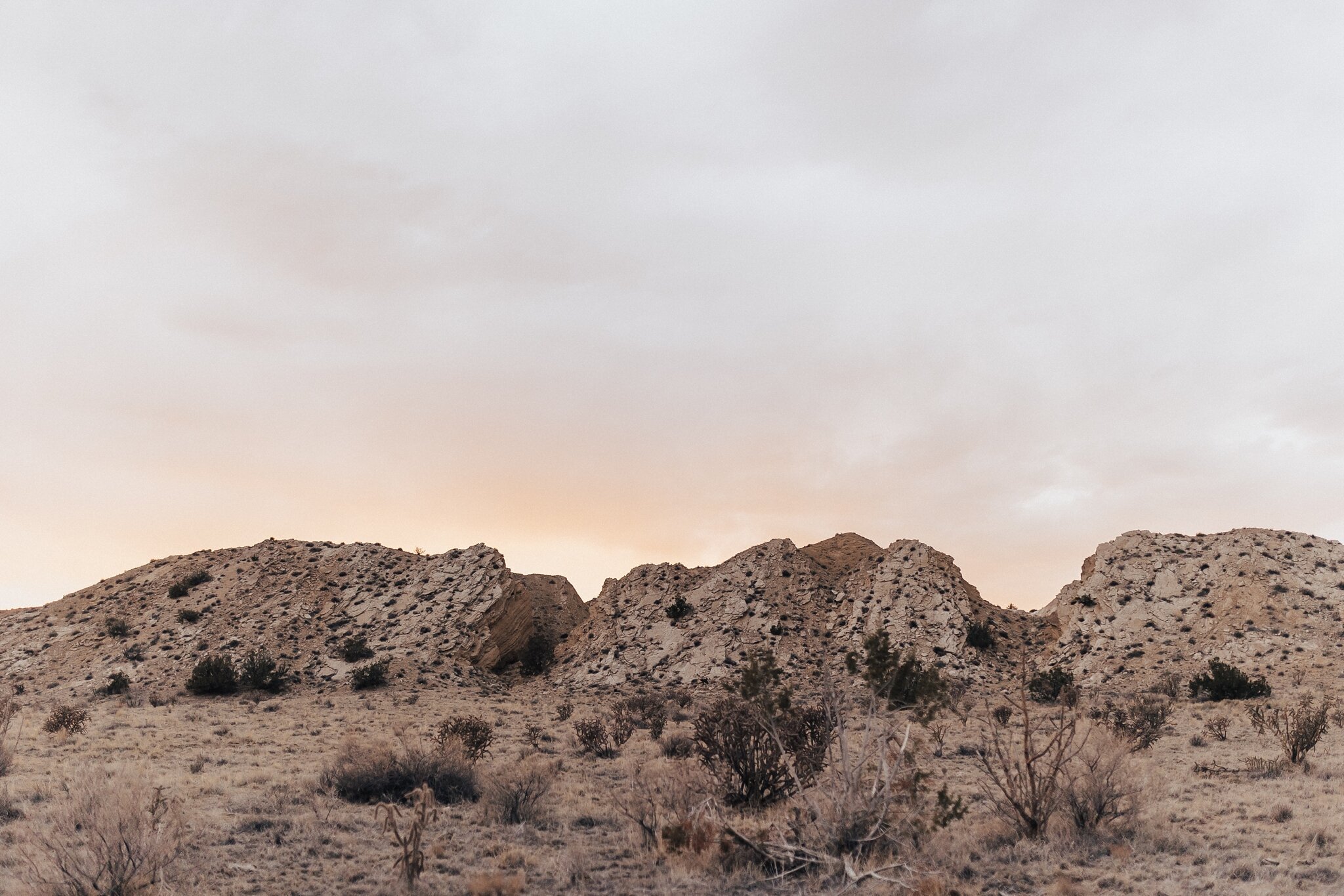 Alicia+lucia+photography+-+albuquerque+wedding+photographer+-+santa+fe+wedding+photography+-+new+mexico+wedding+photographer+-+new+mexico+wedding+-+new+mexico+engagement+-+desert+engagement+-+santa+fe+wedding_0056.jpg