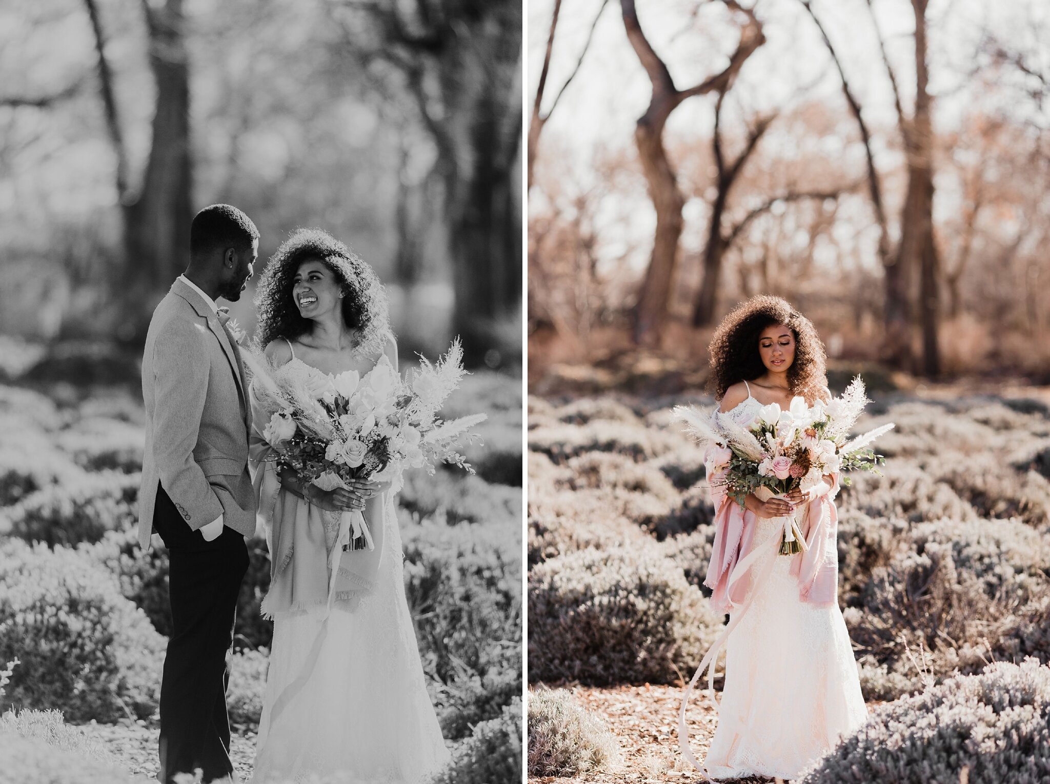 Alicia+lucia+photography+-+albuquerque+wedding+photographer+-+santa+fe+wedding+photography+-+new+mexico+wedding+photographer+-+new+mexico+wedding+-+engagement+-+new+mexico+engagement+-+desert+engagement+-+southwest+engagement_0177.jpg