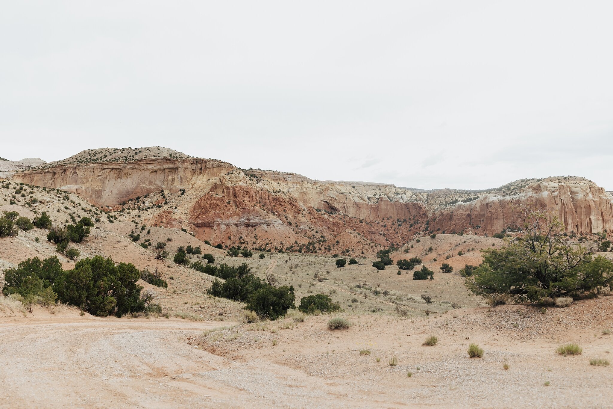 Alicia+lucia+photography+-+albuquerque+wedding+photographer+-+santa+fe+wedding+photography+-+new+mexico+wedding+photographer+-+new+mexico+wedding+-+ghost+ranch+-+santa+fe+wedding+-+ghost+ranch+wedding_0001.jpg