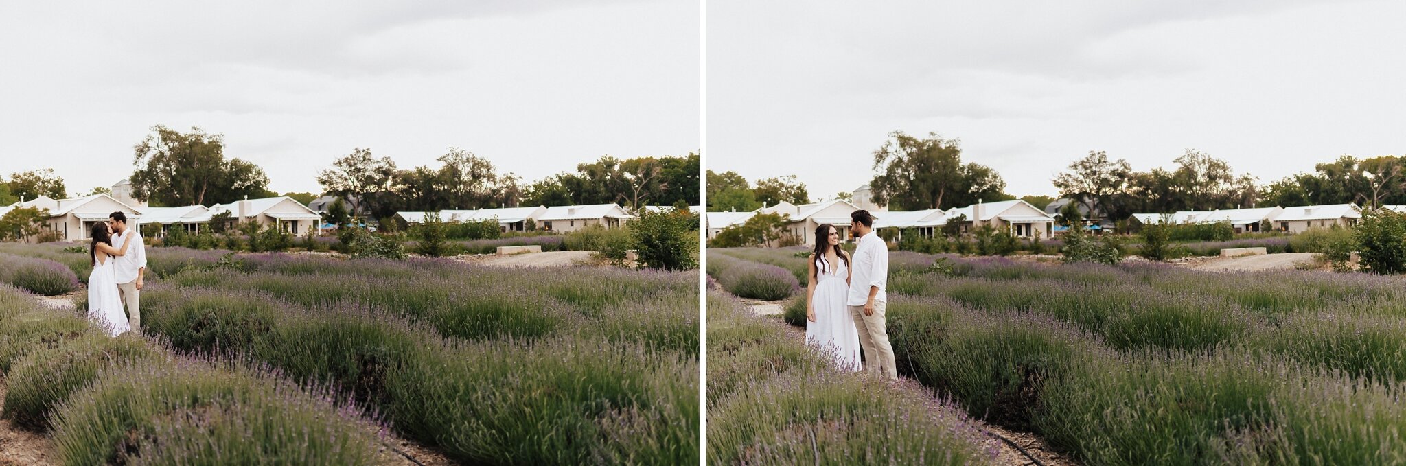 Lavender Farm Wedding Photographer — Blog — Alicia Lucia Photography:  Albuquerque and Santa Fe New Mexico Wedding and Portrait Photographer