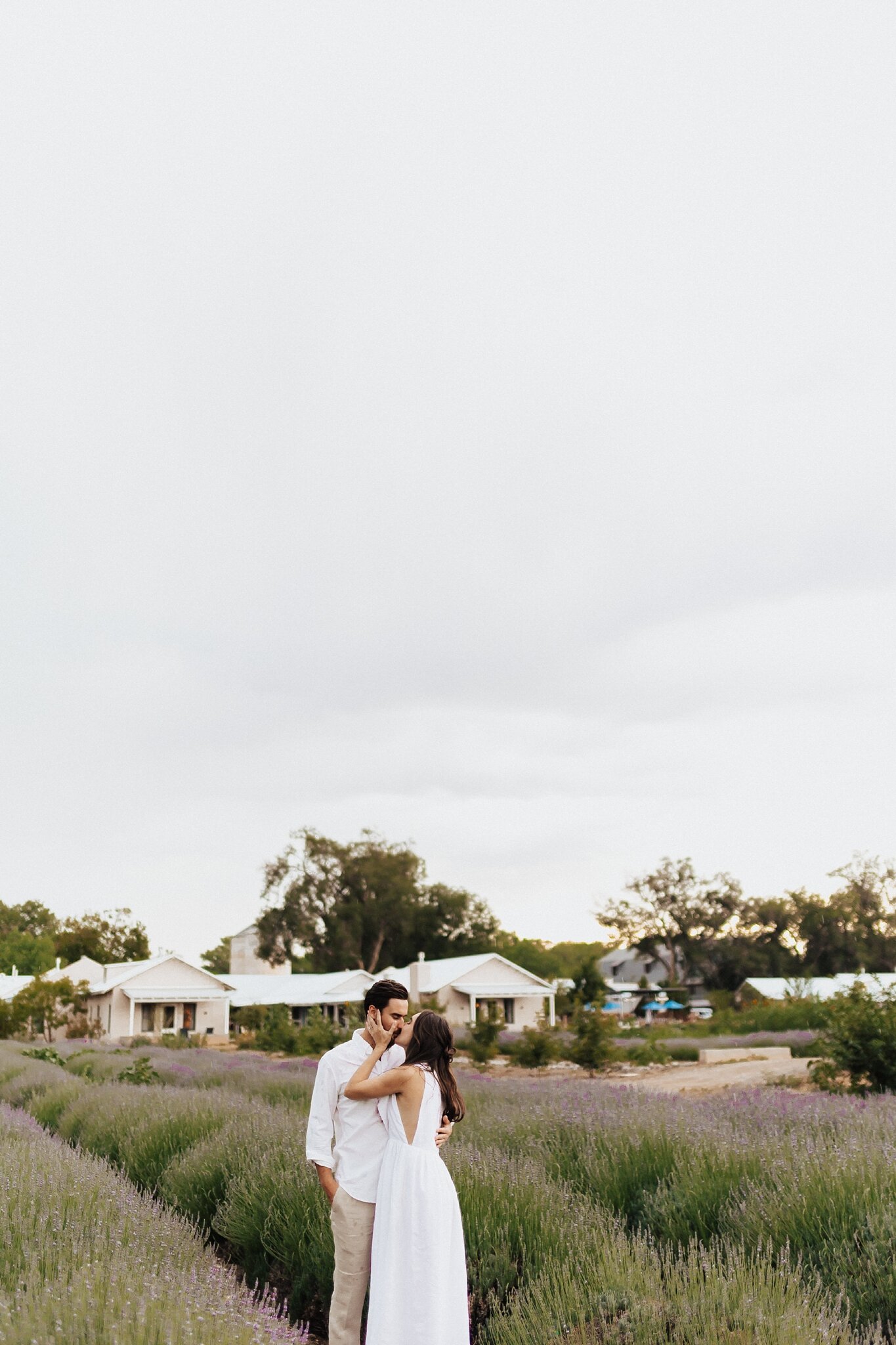 Lavender Farm Wedding Photographer — Blog — Alicia Lucia Photography:  Albuquerque and Santa Fe New Mexico Wedding and Portrait Photographer