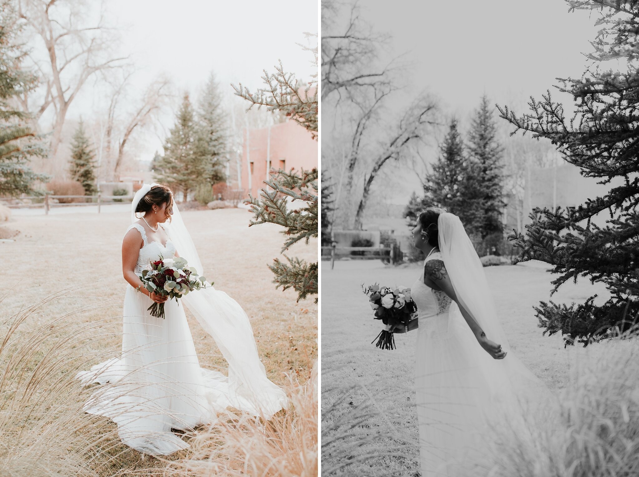 Alicia+lucia+photography+-+albuquerque+wedding+photographer+-+santa+fe+wedding+photography+-+new+mexico+wedding+photographer+-+new+mexico+wedding+-+taos+wedding+-+angel+fire+wedding+-+eagle+nest+wedding_0177.jpg