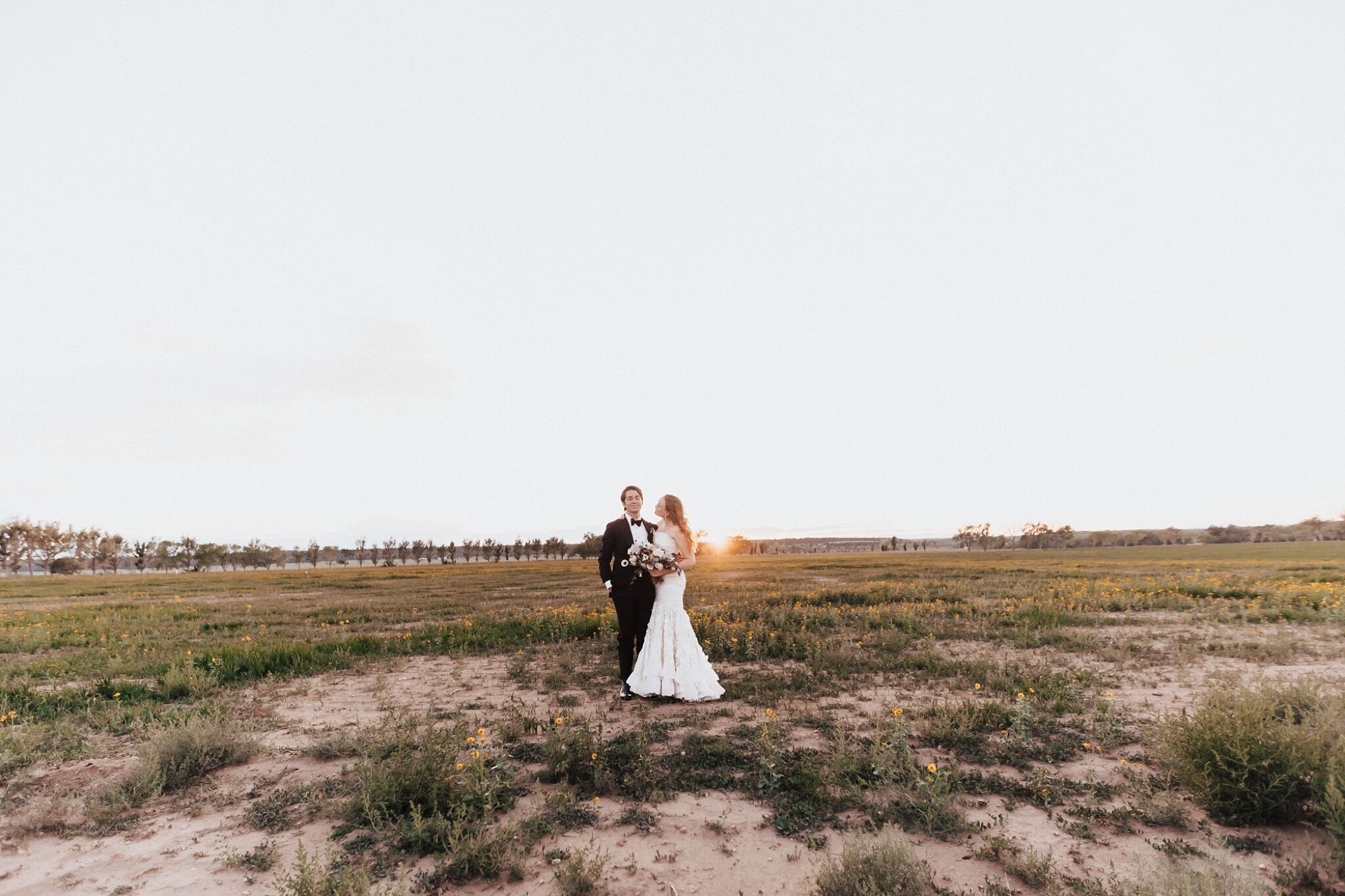 Alicia+lucia+photography+-+albuquerque+wedding+photographer+-+santa+fe+wedding+photography+-+new+mexico+wedding+photographer+-+new+mexico+wedding+-+backyard+wedding+-+backyard+elopement+-+at+home+wedding+-+southwest+wedding_0226.jpg