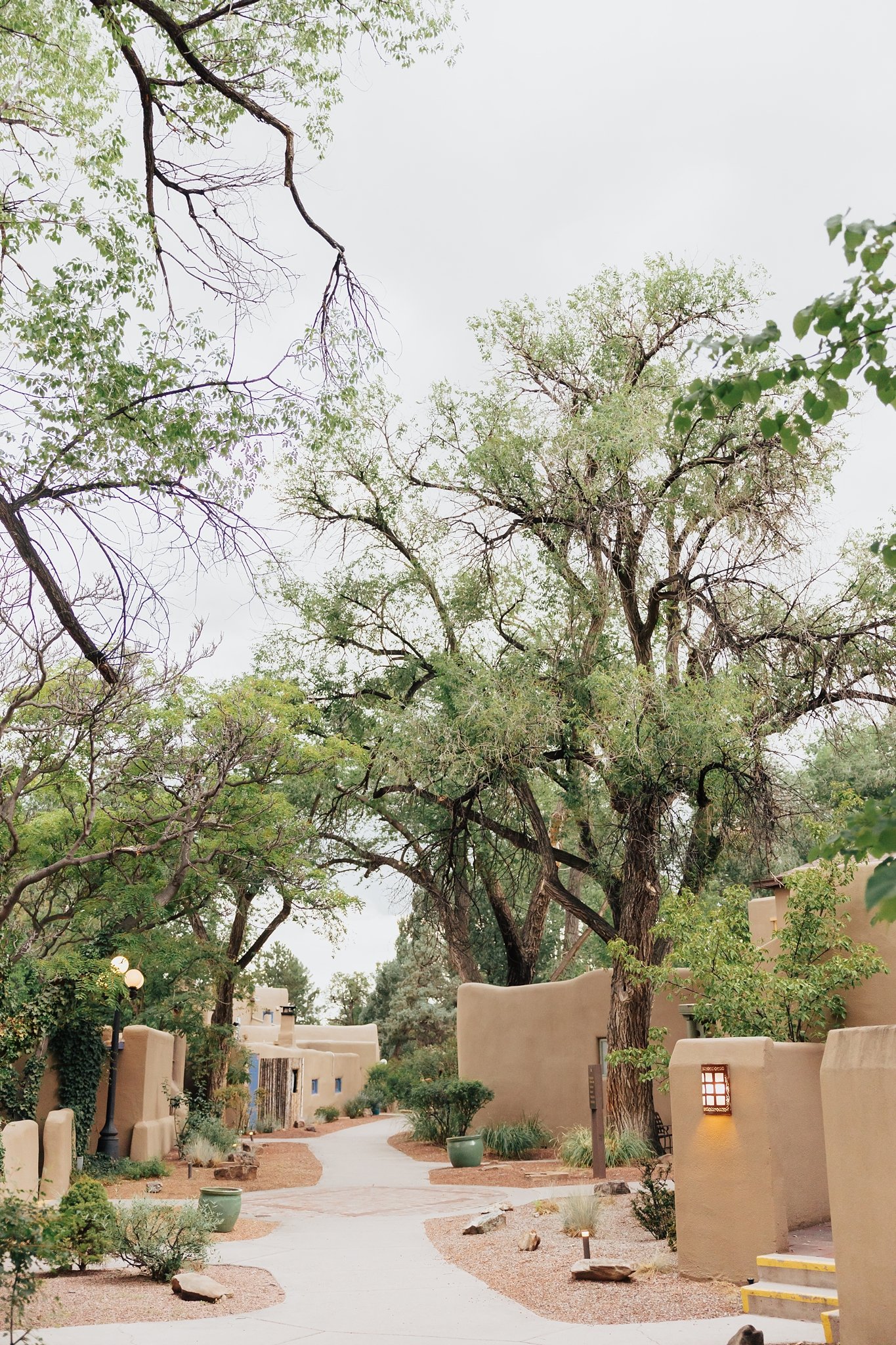 Alicia+lucia+photography+-+albuquerque+wedding+photographer+-+santa+fe+wedding+photography+-+new+mexico+wedding+photographer+-+new+mexico+wedding+-+santa+fe+wedding+-+santa+fe+plaza+wedding+-+la+posada+wedding_0054.jpg