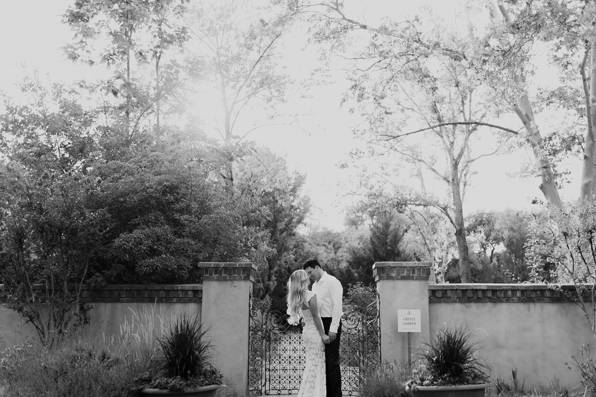 Alicia+lucia+photography+-+albuquerque+wedding+photographer+-+santa+fe+wedding+photography+-+new+mexico+wedding+photographer+-+new+mexico+wedding+-+engagement+-+los+poblanos+engagement+-+hawaii+wedding+-+maui+wedding_0037.jpg