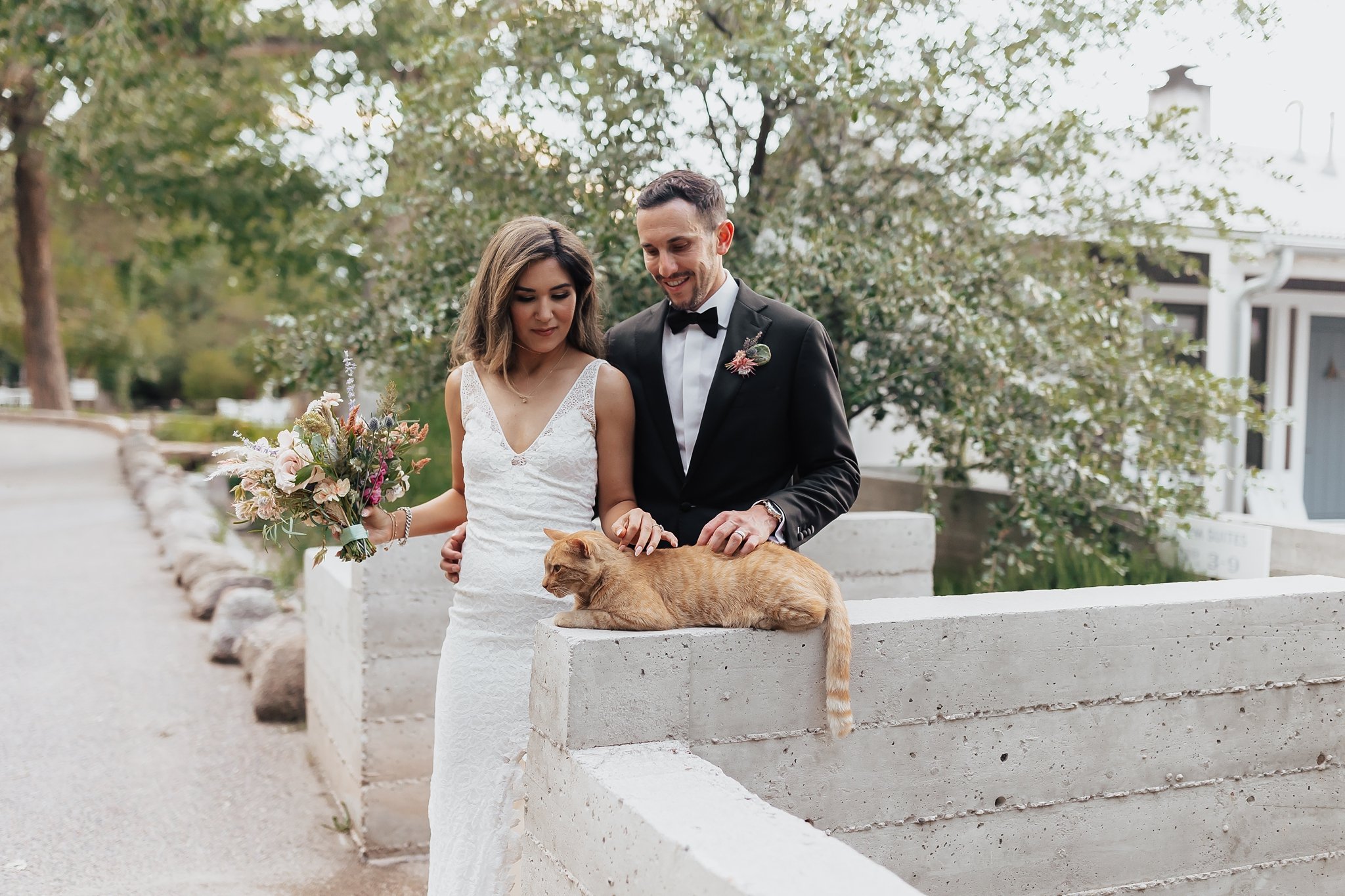 Alicia+lucia+photography+-+albuquerque+wedding+photographer+-+santa+fe+wedding+photography+-+new+mexico+wedding+photographer+-+new+mexico+wedding+-+los+poblanos+-+los+poblanos+wedding+-+los+poblanos+elopement+-+lavender+farm_0086.jpg