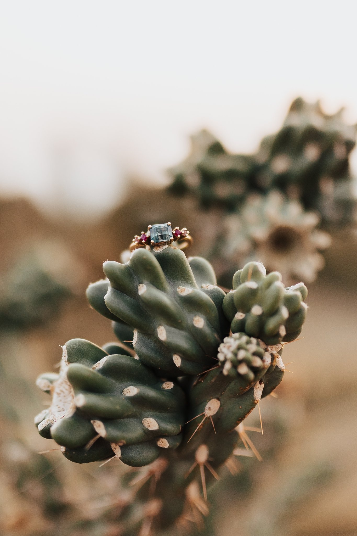 Alicia+lucia+photography+-+albuquerque+wedding+photographer+-+santa+fe+wedding+photography+-+new+mexico+wedding+photographer+-+new+mexico+wedding+-+engagement+ring+-+wedding+ring+-+santa+fe+wedding+-+taos+wedding+-+southwest+wedding_0008.jpg