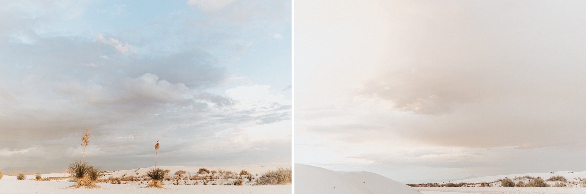 Alicia+lucia+photography+-+albuquerque+wedding+photographer+-+santa+fe+wedding+photography+-+new+mexico+wedding+photographer+-+new+mexico+wedding+-+white+sands+-+white+sands+national+park+-+white+sands+proposal+-+lgbtq+proposal_0006.jpg