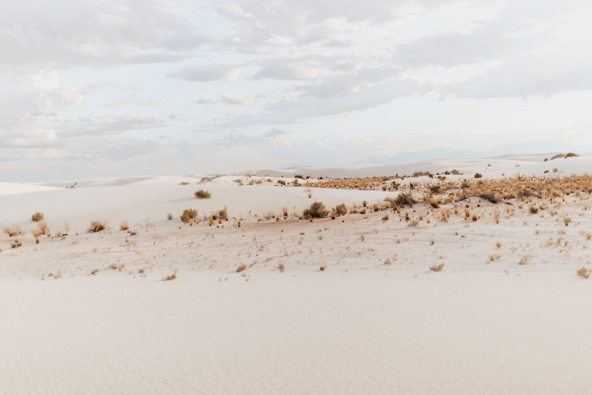 Alicia+lucia+photography+-+albuquerque+wedding+photographer+-+santa+fe+wedding+photography+-+new+mexico+wedding+photographer+-+new+mexico+wedding+-+white+sands+-+white+sands+national+park+-+white+sands+proposal+-+lgbtq+proposal_0007.jpg