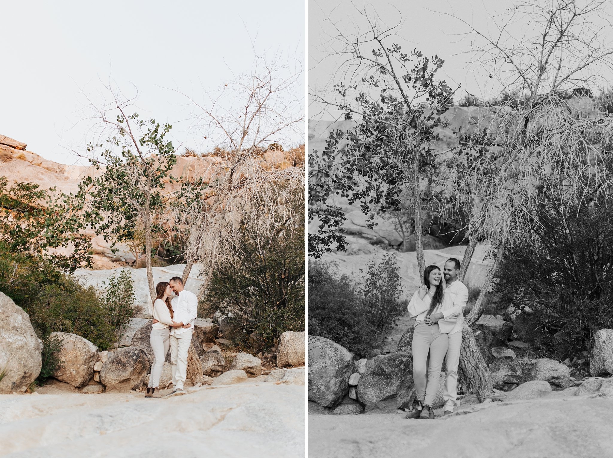 Alicia+lucia+photography+-+albuquerque+wedding+photographer+-+santa+fe+wedding+photography+-+new+mexico+wedding+photographer+-+new+mexico+wedding+-+desert+engagement+-+foothills+engagement+-+mountain+engagement_0045.jpg