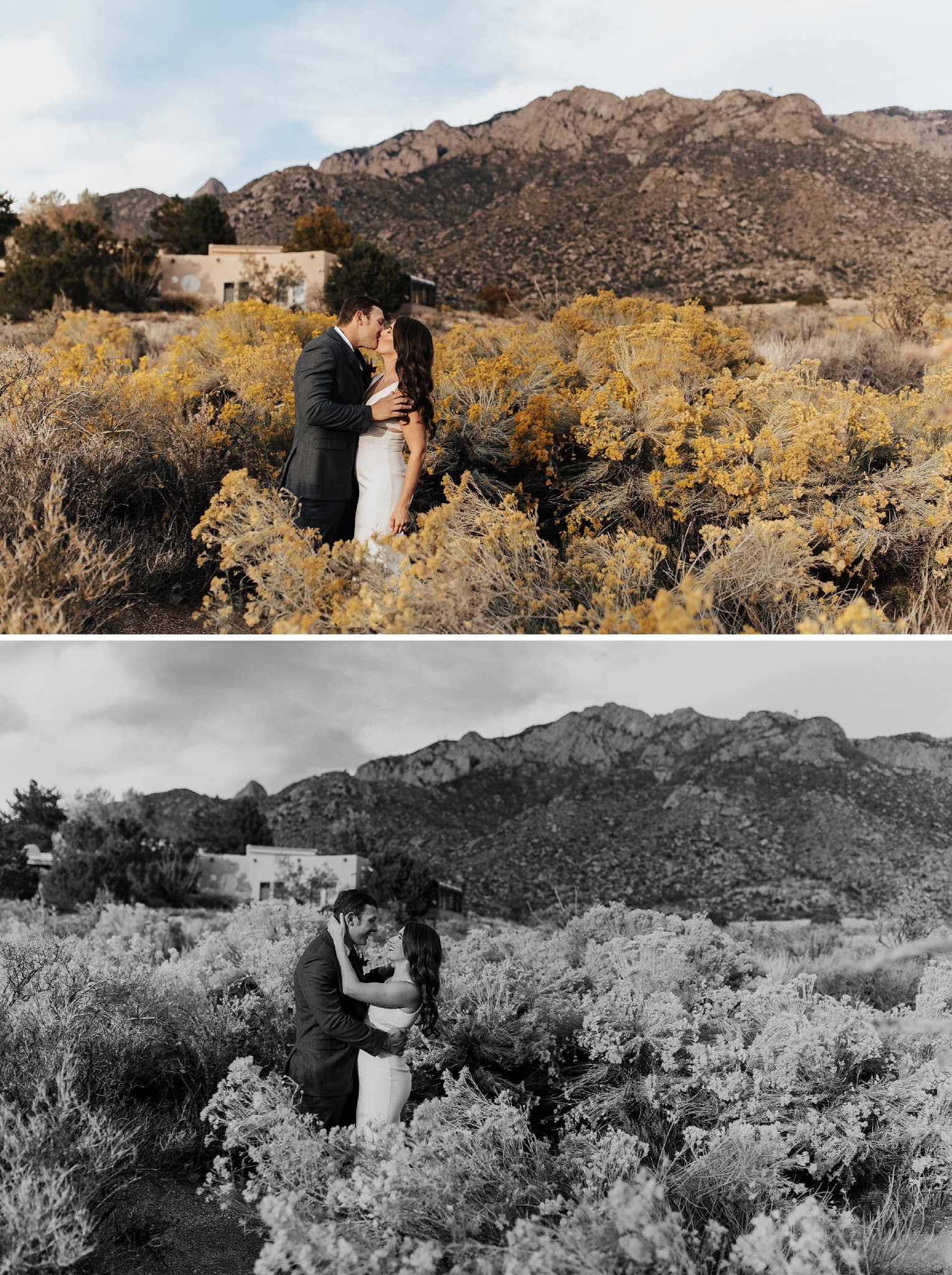 Alicia+lucia+photography+-+albuquerque+wedding+photographer+-+santa+fe+wedding+photography+-+new+mexico+wedding+photographer+-+new+mexico+wedding+-+santa+fe+wedding+-+albuquerque+wedding+-+backyard+wedding+-+desert+wedding_0035.jpg