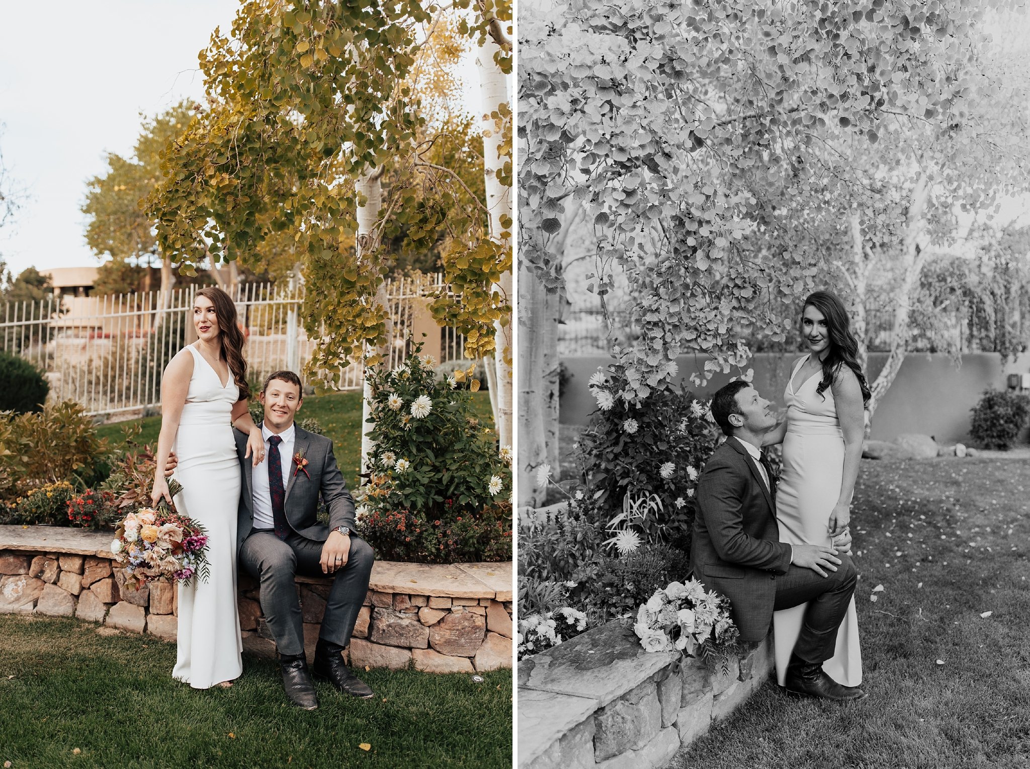 Alicia+lucia+photography+-+albuquerque+wedding+photographer+-+santa+fe+wedding+photography+-+new+mexico+wedding+photographer+-+new+mexico+wedding+-+santa+fe+wedding+-+albuquerque+wedding+-+backyard+wedding+-+desert+wedding_0065.jpg