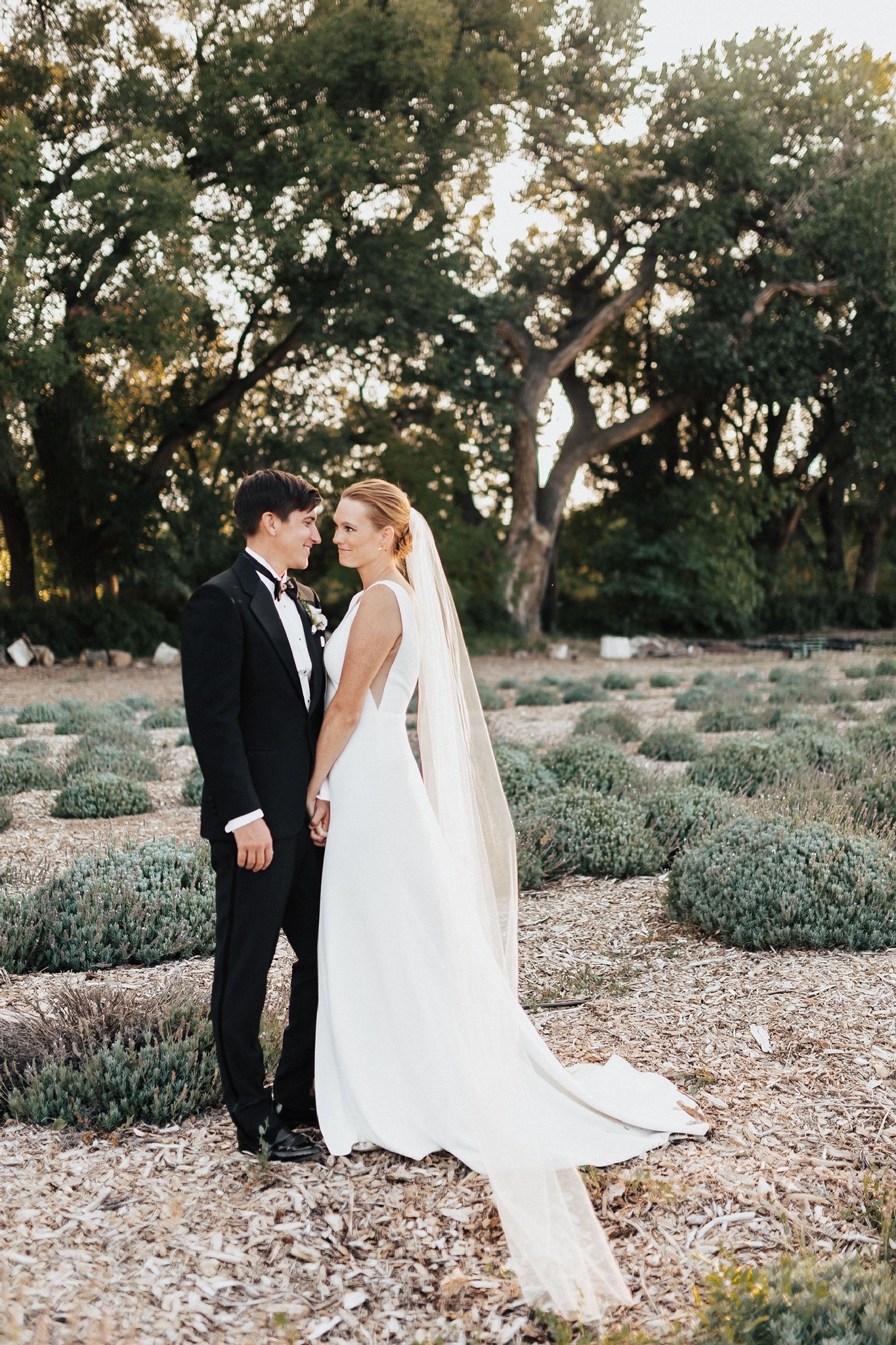 Alicia+lucia+photography+-+albuquerque+wedding+photographer+-+santa+fe+wedding+photography+-+new+mexico+wedding+photographer+-+new+mexico+wedding+-+spring+wedding+-+southwest+wedding+-+spring+elopement_0062.jpg