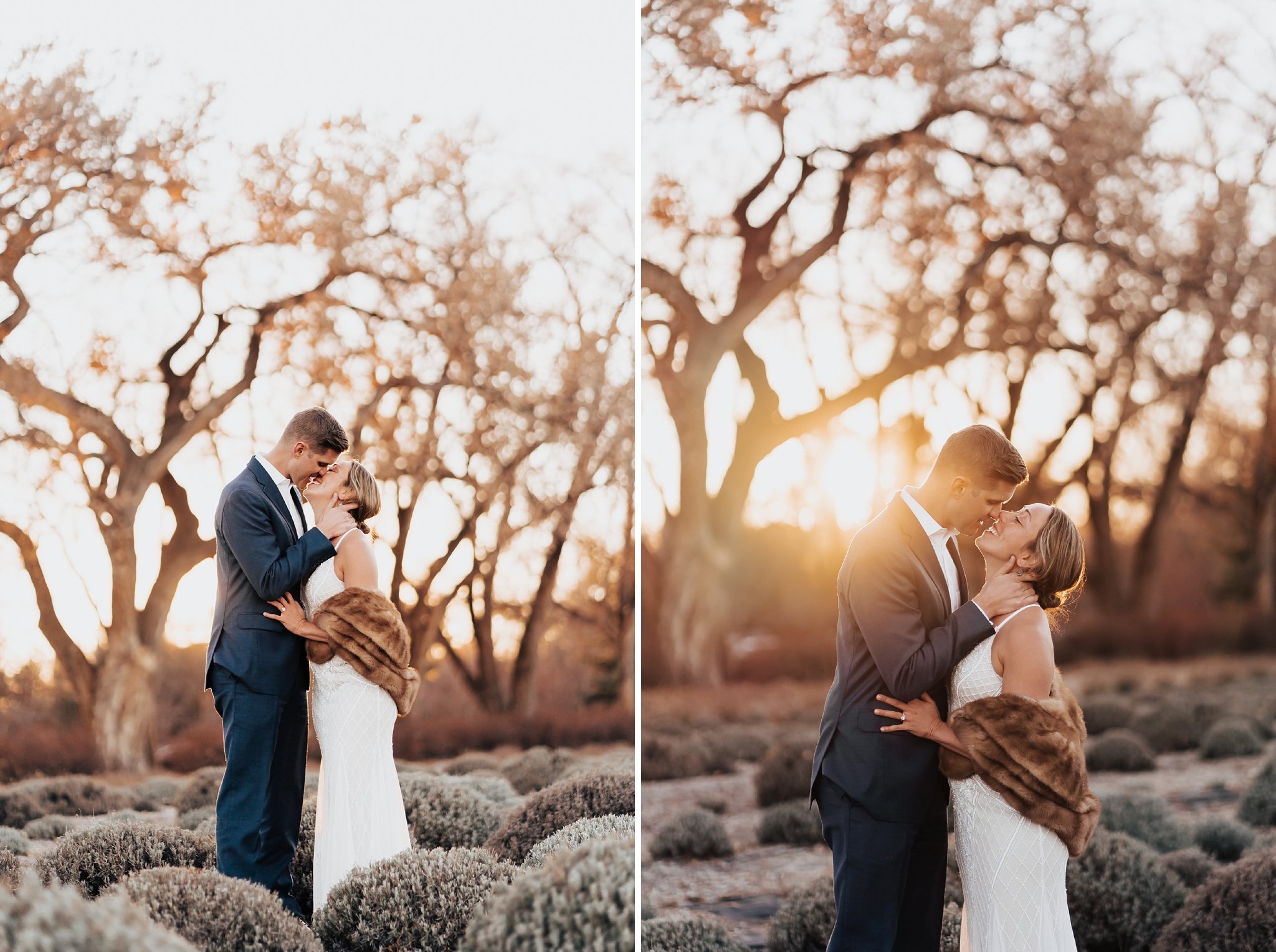 Alicia+lucia+photography+-+albuquerque+wedding+photographer+-+santa+fe+wedding+photography+-+new+mexico+wedding+photographer+-+new+mexico+wedding+-+los+poblanos+-+los+poblanos+-+los+poblanos+wedding+-+los+poblanos+engagement_0002.jpg