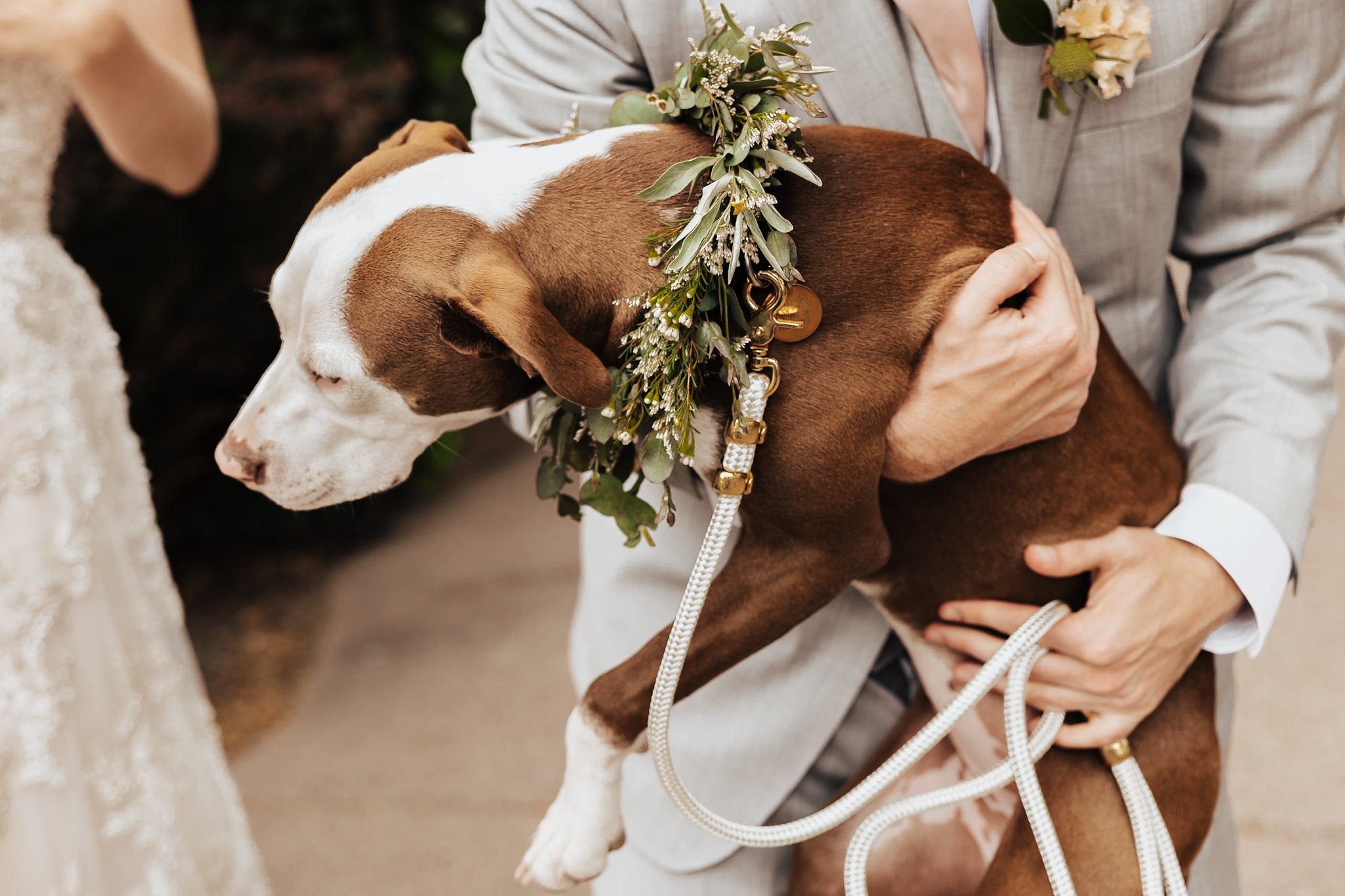 Alicia+lucia+photography+-+albuquerque+wedding+photographer+-+santa+fe+wedding+photography+-+new+mexico+wedding+photographer+-+new+mexico+wedding+-+santa+fe+wedding+-+southwest+wedding+-+la+posada+wedding_0027.jpg