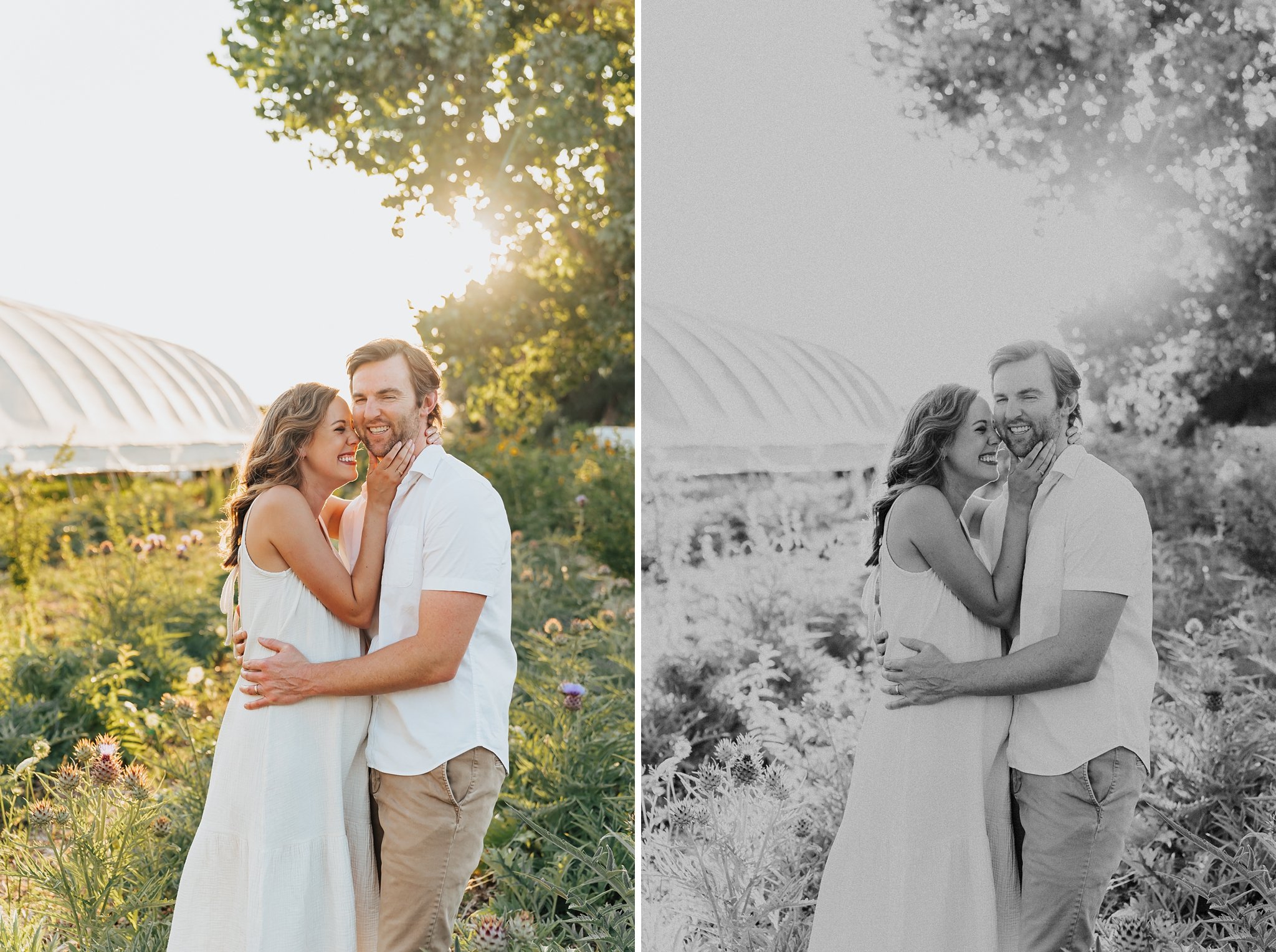 Alicia+lucia+photography+-+albuquerque+wedding+photographer+-+santa+fe+wedding+photography+-+new+mexico+wedding+photographer+-+new+mexico+wedding+-+farm+and+table+-+farm+engagement+-+farm+sessions+-+southwest+engagement_0017.jpg