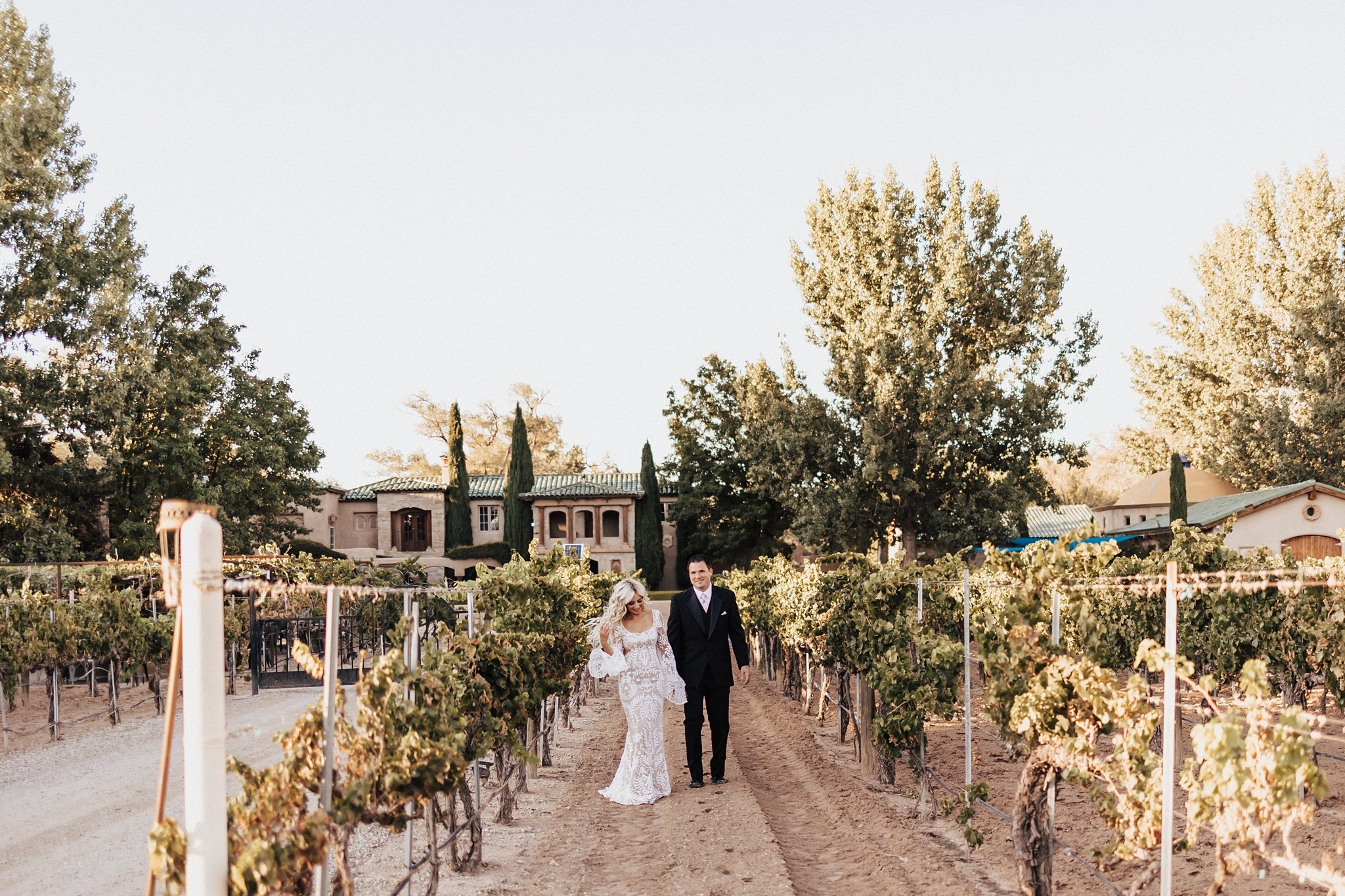 Alicia+lucia+photography+-+albuquerque+wedding+photographer+-+santa+fe+wedding+photography+-+new+mexico+wedding+photographer+-+new+mexico+wedding+-+winery+wedding+-+winery+elopement+-+casa+rondena+wedding_0056.jpg