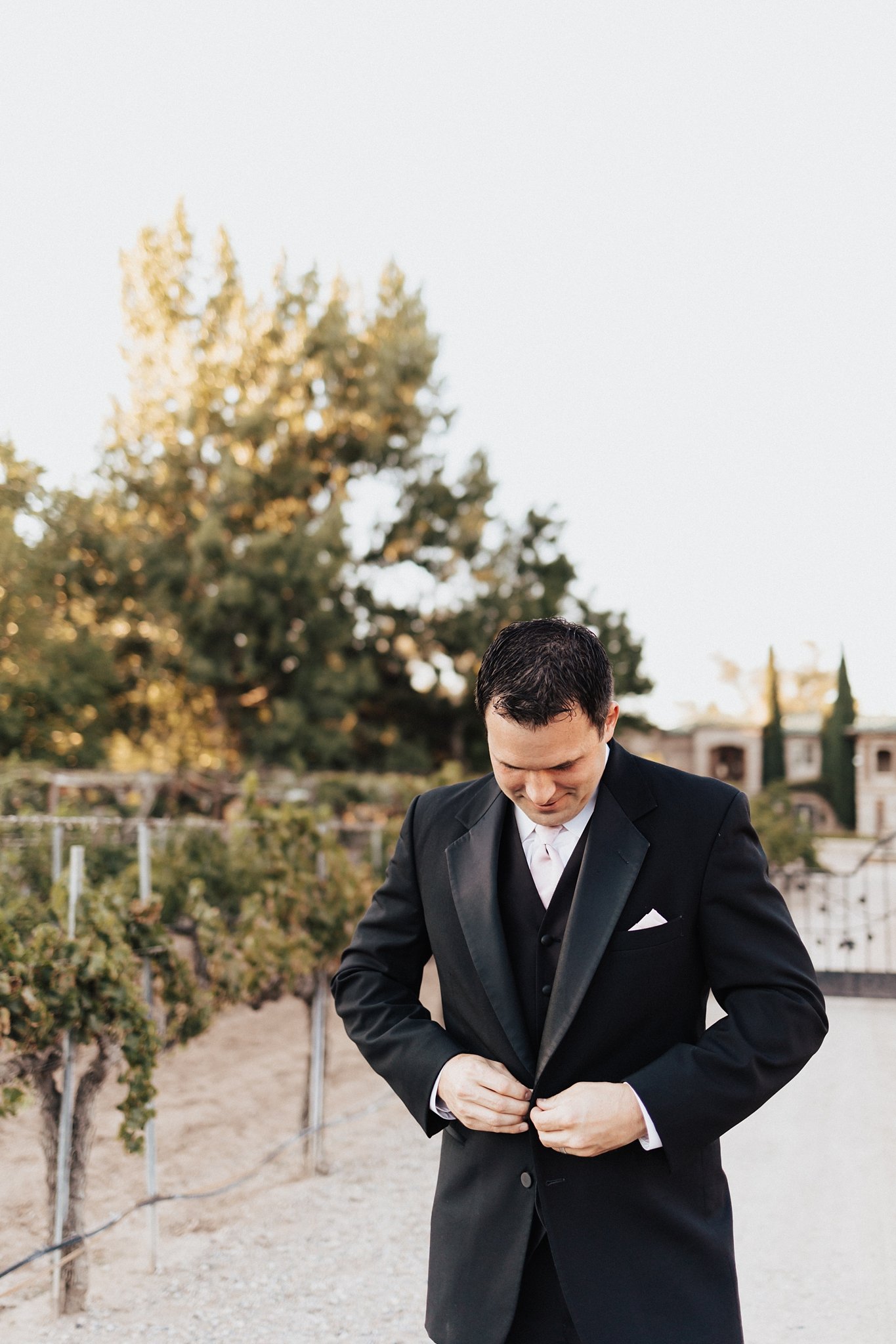 Alicia+lucia+photography+-+albuquerque+wedding+photographer+-+santa+fe+wedding+photography+-+new+mexico+wedding+photographer+-+new+mexico+wedding+-+winery+wedding+-+winery+elopement+-+casa+rondena+wedding_0061.jpg