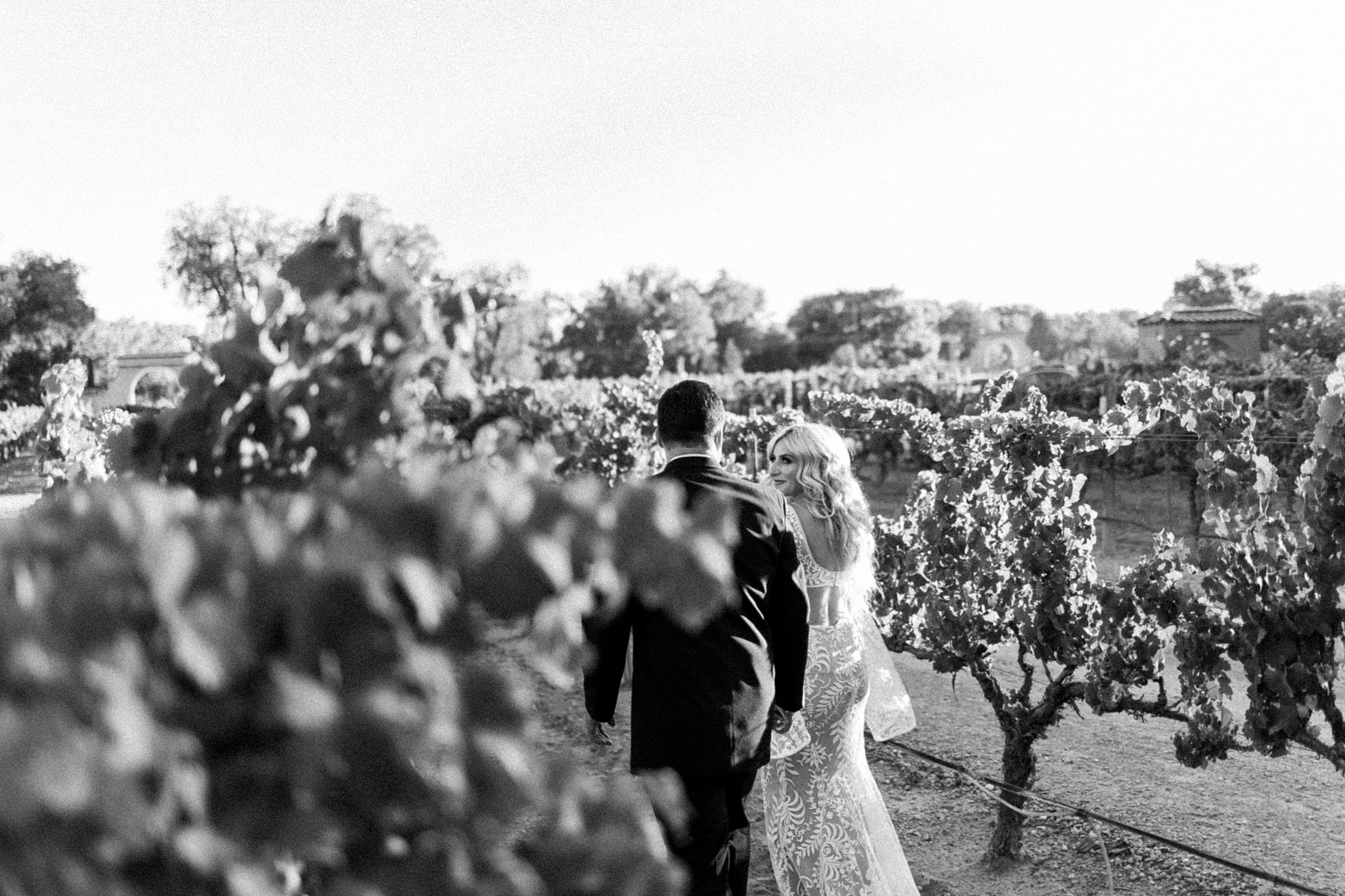 Alicia+lucia+photography+-+albuquerque+wedding+photographer+-+santa+fe+wedding+photography+-+new+mexico+wedding+photographer+-+new+mexico+wedding+-+winery+wedding+-+winery+elopement+-+casa+rondena+wedding_0070.jpg