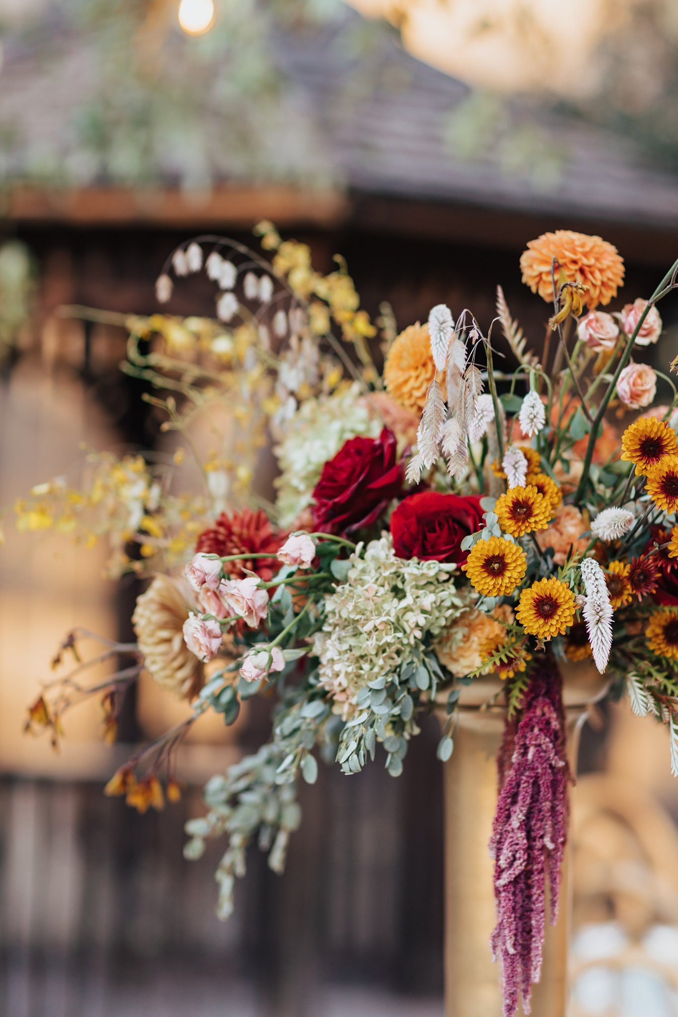 Alicia+lucia+photography+-+albuquerque+wedding+photographer+-+santa+fe+wedding+photography+-+new+mexico+wedding+photographer+-+new+mexico+wedding+-+la+posada+wedding+-+santa+fe+wedding+-+southwest+wedding_0082.jpg