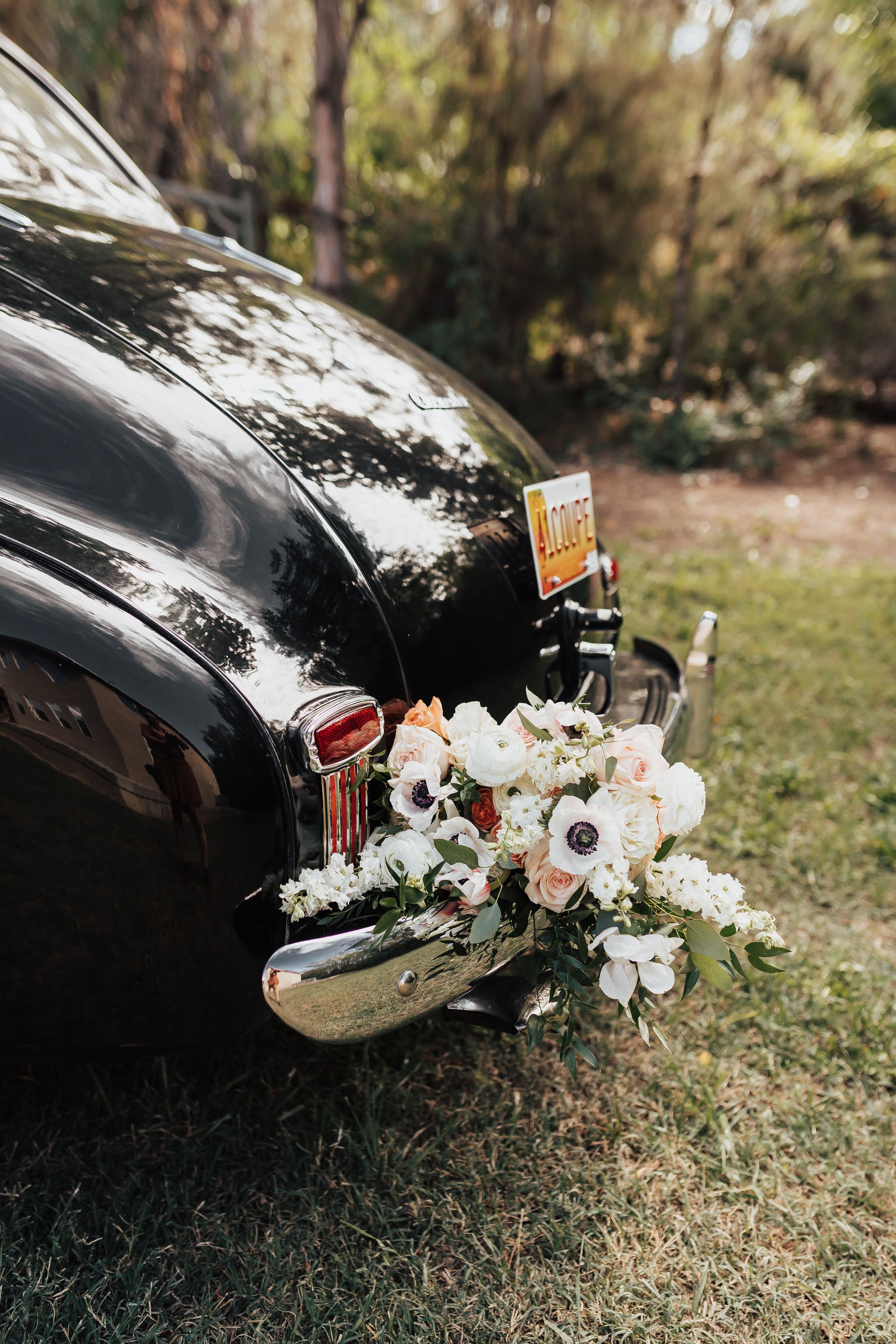 santa fe wedding videographer elopement destination bay area wedding photographer portland wedding photographer canon beach wedding photographer