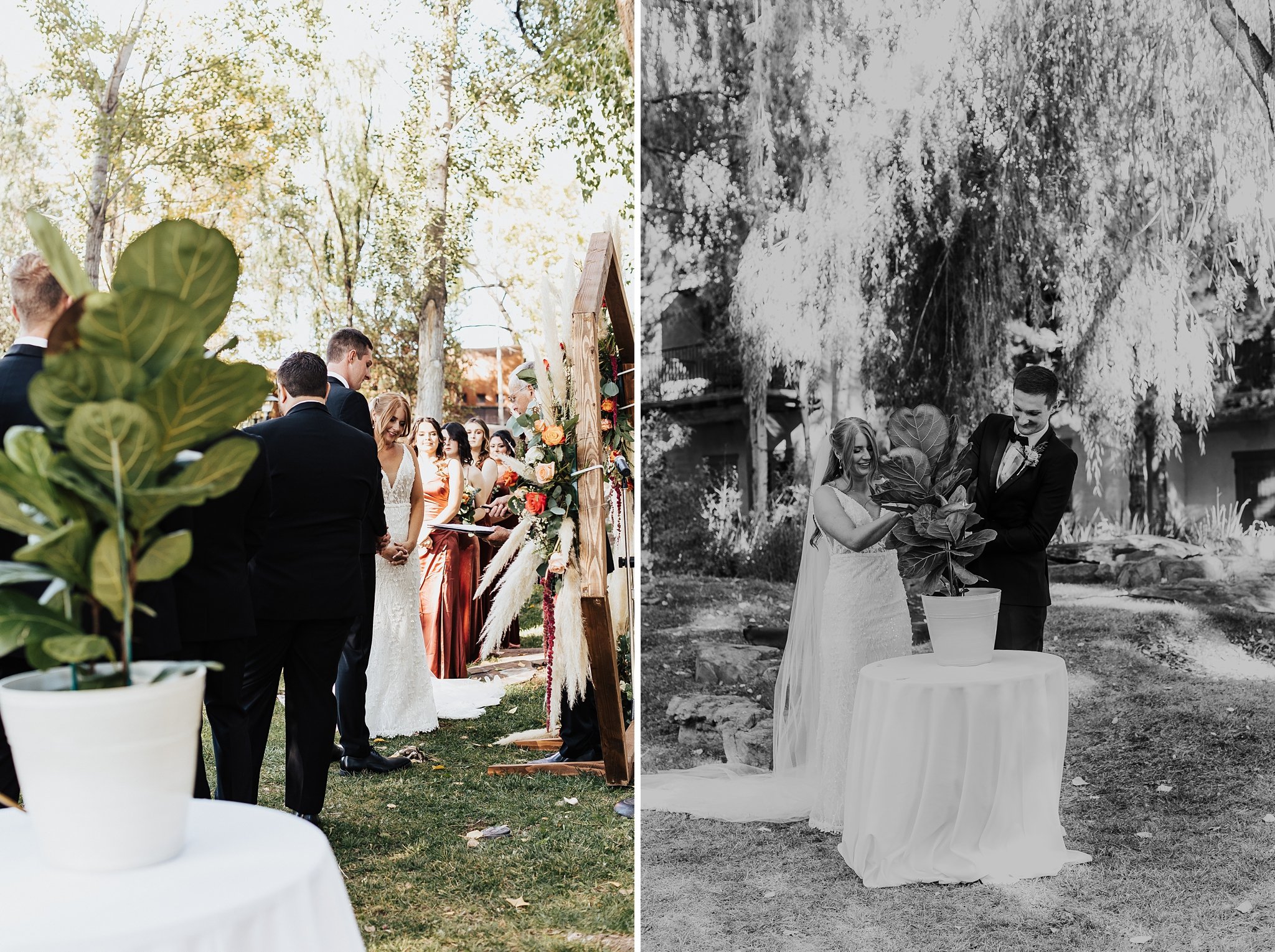 Alicia+lucia+photography+-+albuquerque+wedding+photographer+-+santa+fe+wedding+photography+-+new+mexico+wedding+photographer+-+new+mexico+wedding+-+taos+wedding+-+el+monte+sagrado+-+el+monte+sagrado+wedding+-+southwest+wedding_0061.jpg