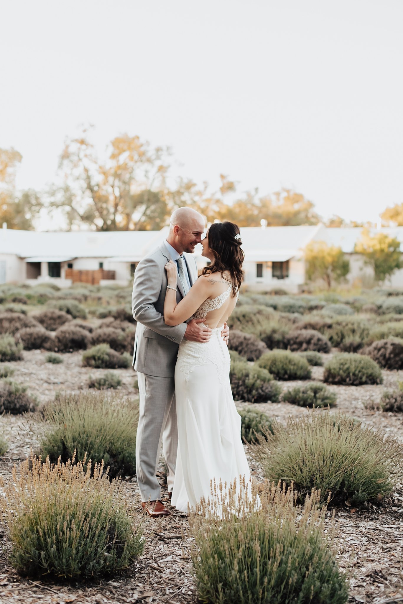 Alicia+lucia+photography+-+albuquerque+wedding+photographer+-+santa+fe+wedding+photography+-+new+mexico+wedding+photographer+-+new+mexico+wedding+-+los+poblanos+-+los+poblanos+wedding+-+lavender+farm+wedding+-+southwest+wedding_0102.jpg