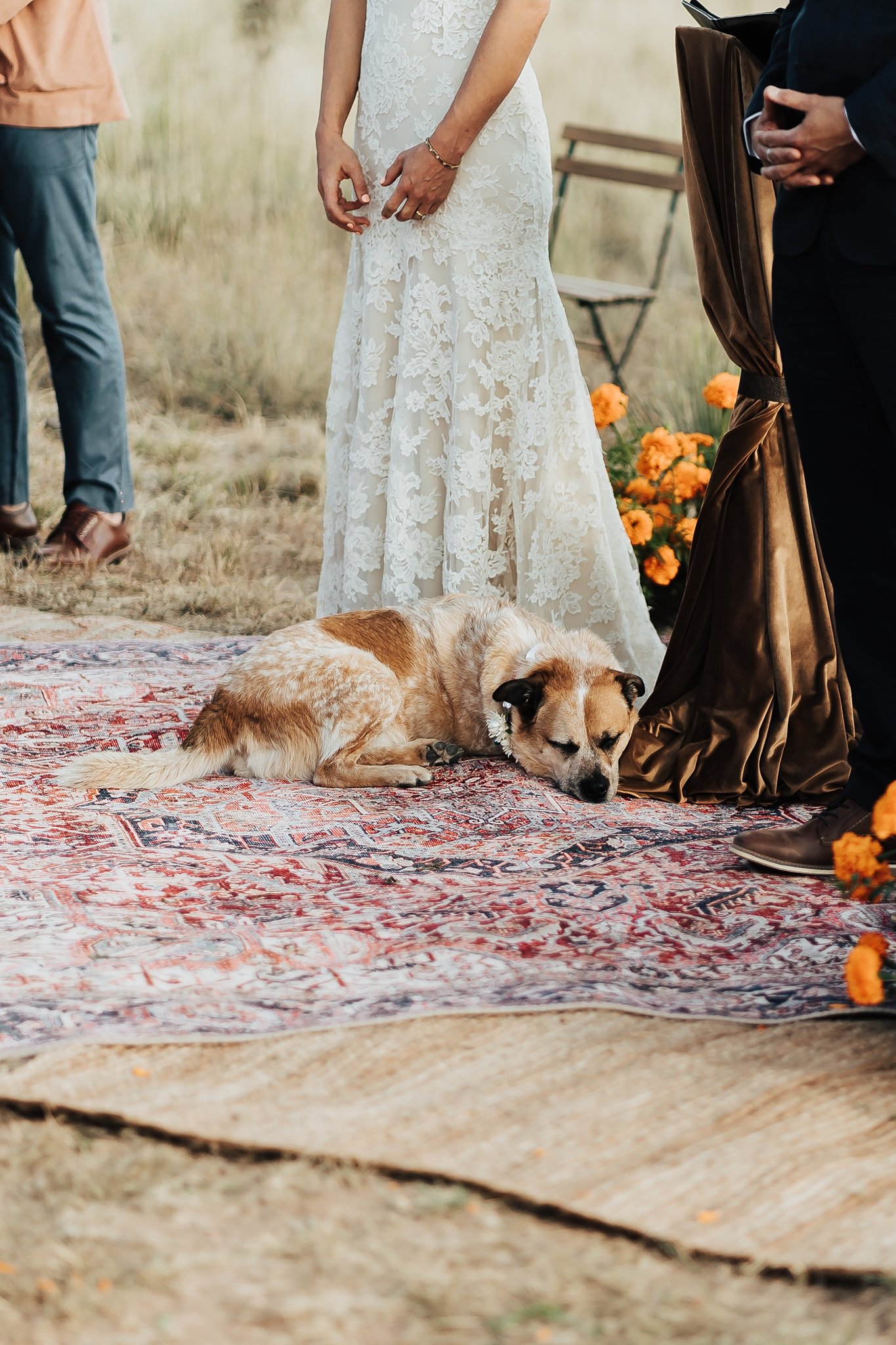 Alicia+lucia+photography+-+albuquerque+wedding+photographer+-+santa+fe+wedding+photography+-+new+mexico+wedding+photographer+-+new+mexico+wedding+-desert+wedding+-+stay+kit+fox+-+kit+fox+wedding+-+santa+fe+wedding_0035.jpg