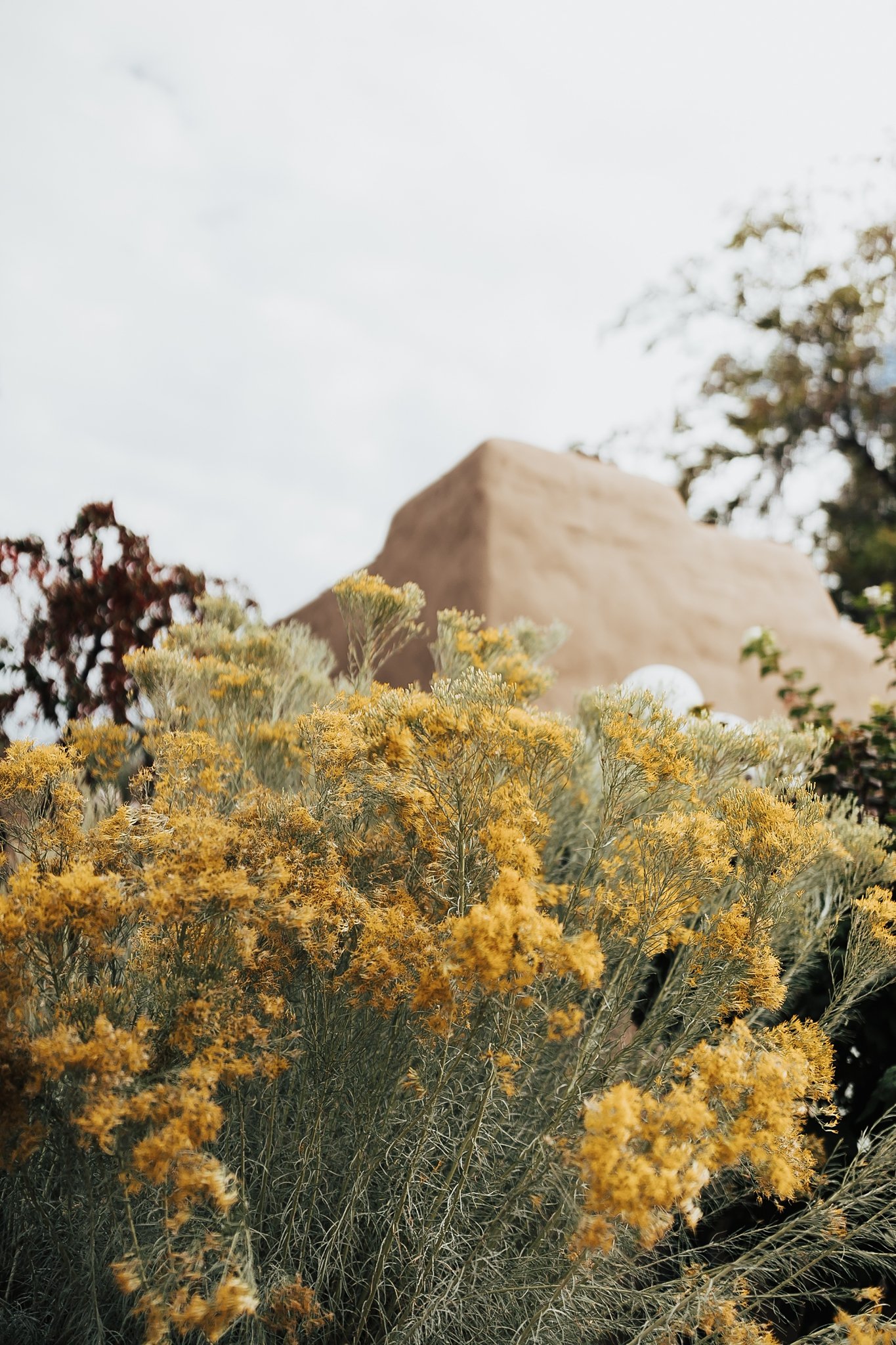 Alicia+lucia+photography+-+albuquerque+wedding+photographer+-+santa+fe+wedding+photography+-+new+mexico+wedding+photographer+-+new+mexico+wedding+-+santa+fe+wedding+-+la+posada+wedding+-+lgbtq+wedding+-+lgbtq+elopement_0010.jpg