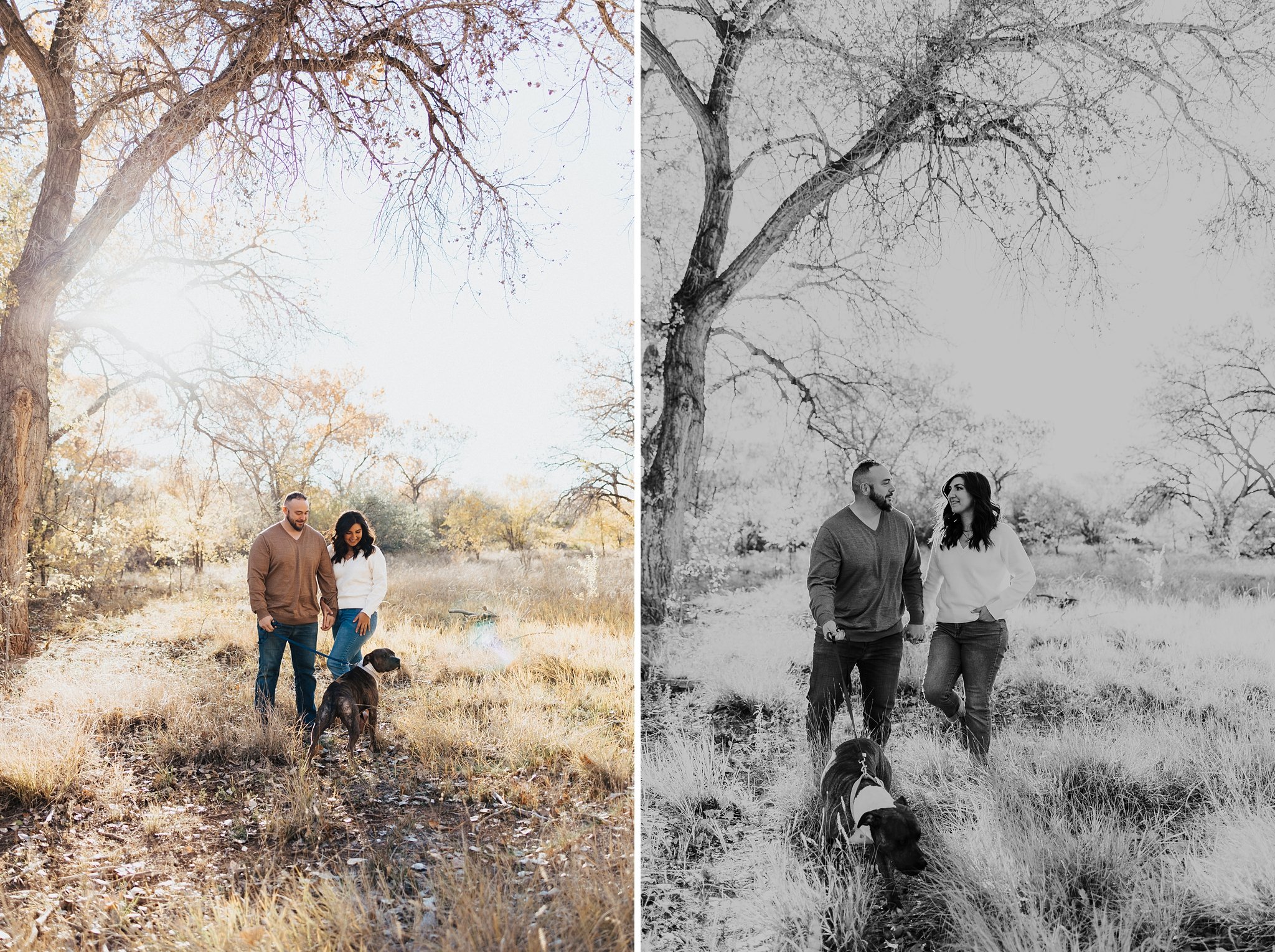 Alicia+lucia+photography+-+albuquerque+wedding+photographer+-+santa+fe+wedding+photography+-+new+mexico+wedding+photographer+-+new+mexico+wedding+-+desert+engagement+-+santa+fe+engagement+-+taos+engagement_0005.jpg