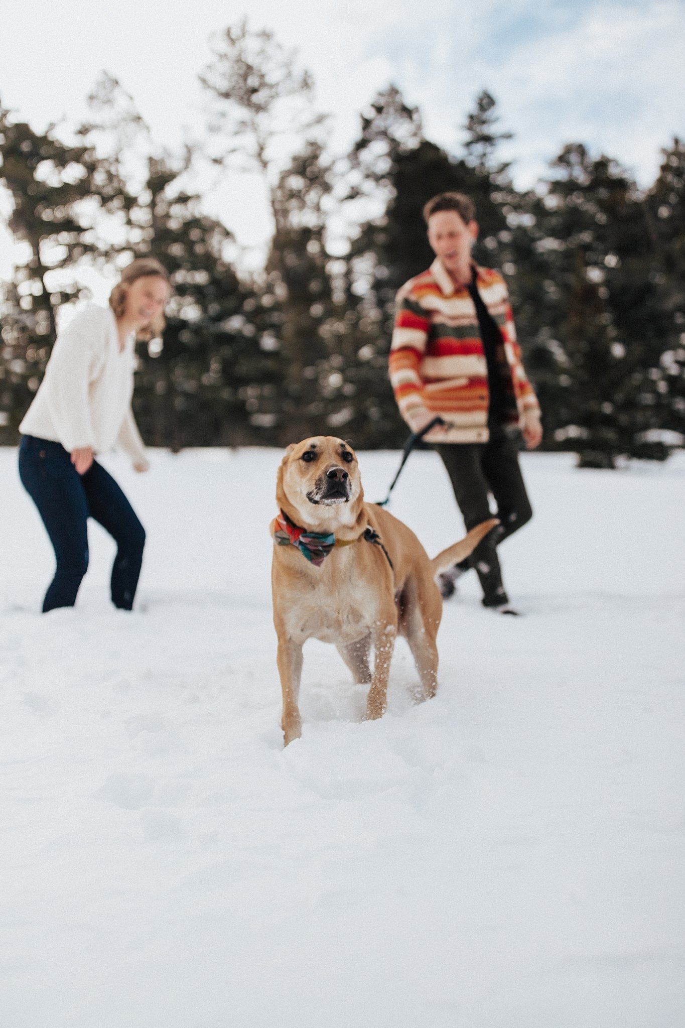 Alicia+lucia+photography+-+albuquerque+wedding+photographer+-+santa+fe+wedding+photography+-+new+mexico+wedding+photographer+-+new+mexico+wedding+-+winter+engagement+-+taos+engagement+-+santa+fe+engagement_0007.jpg