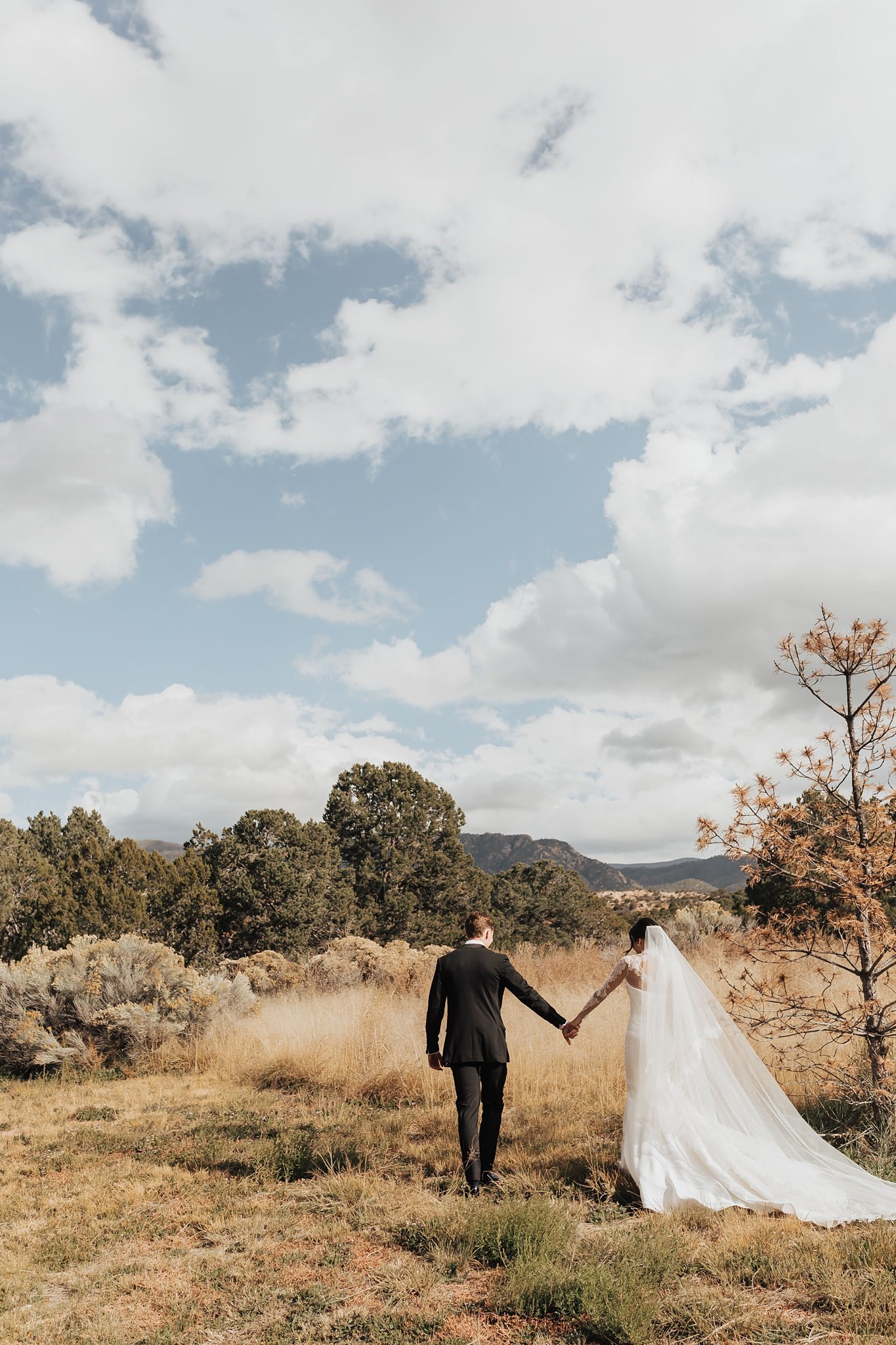 Alicia+lucia+photography+-+albuquerque+wedding+photographer+-+santa+fe+wedding+photography+-+new+mexico+wedding+photographer+-+new+mexico+wedding+-+santa+fe+wedding+-+taos+wedding+-+southwest+wedding_0006.jpg