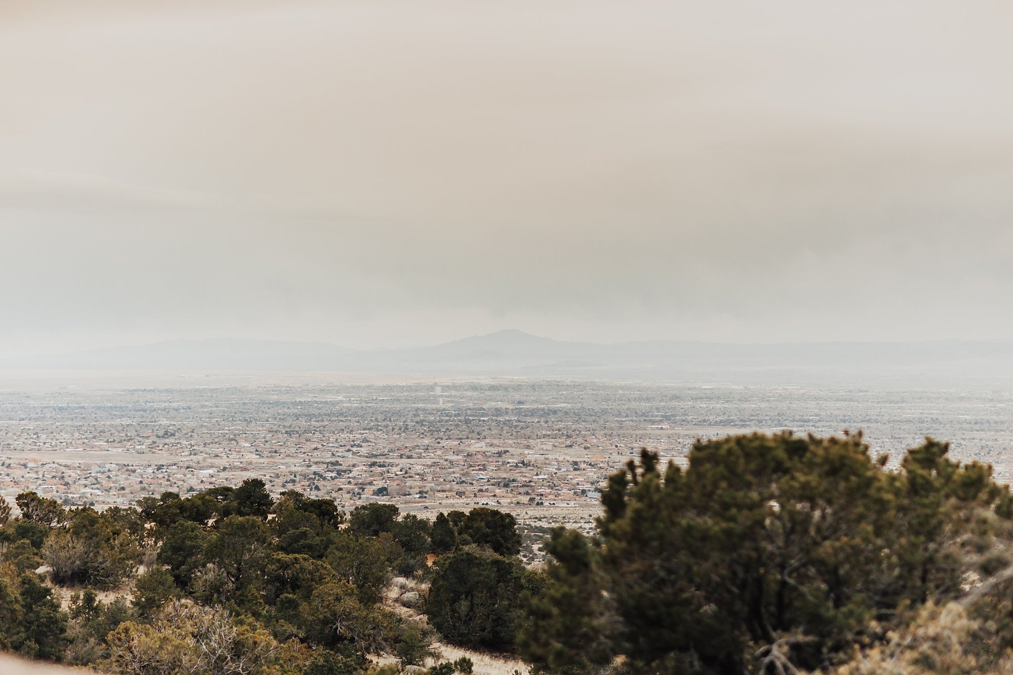 Alicia+lucia+photography+-+albuquerque+wedding+photographer+-+santa+fe+wedding+photography+-+new+mexico+wedding+photographer+-+new+mexico+wedding+-+mountain+engagement+-+albuquerque+engagement+-+desert+engagement_0043.jpg