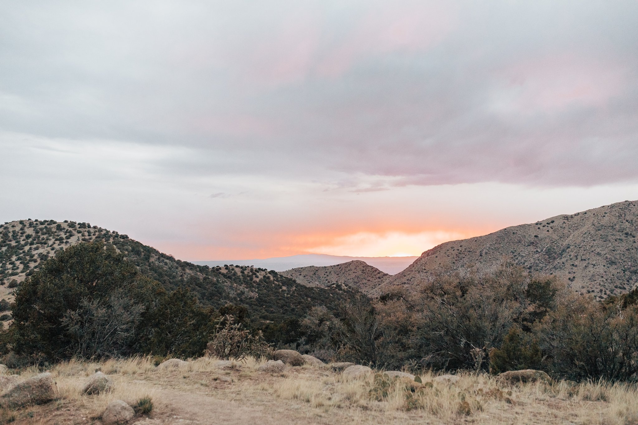 Alicia+lucia+photography+-+albuquerque+wedding+photographer+-+santa+fe+wedding+photography+-+new+mexico+wedding+photographer+-+new+mexico+wedding+-+mountain+engagement+-+albuquerque+engagement+-+desert+engagement_0081.jpg