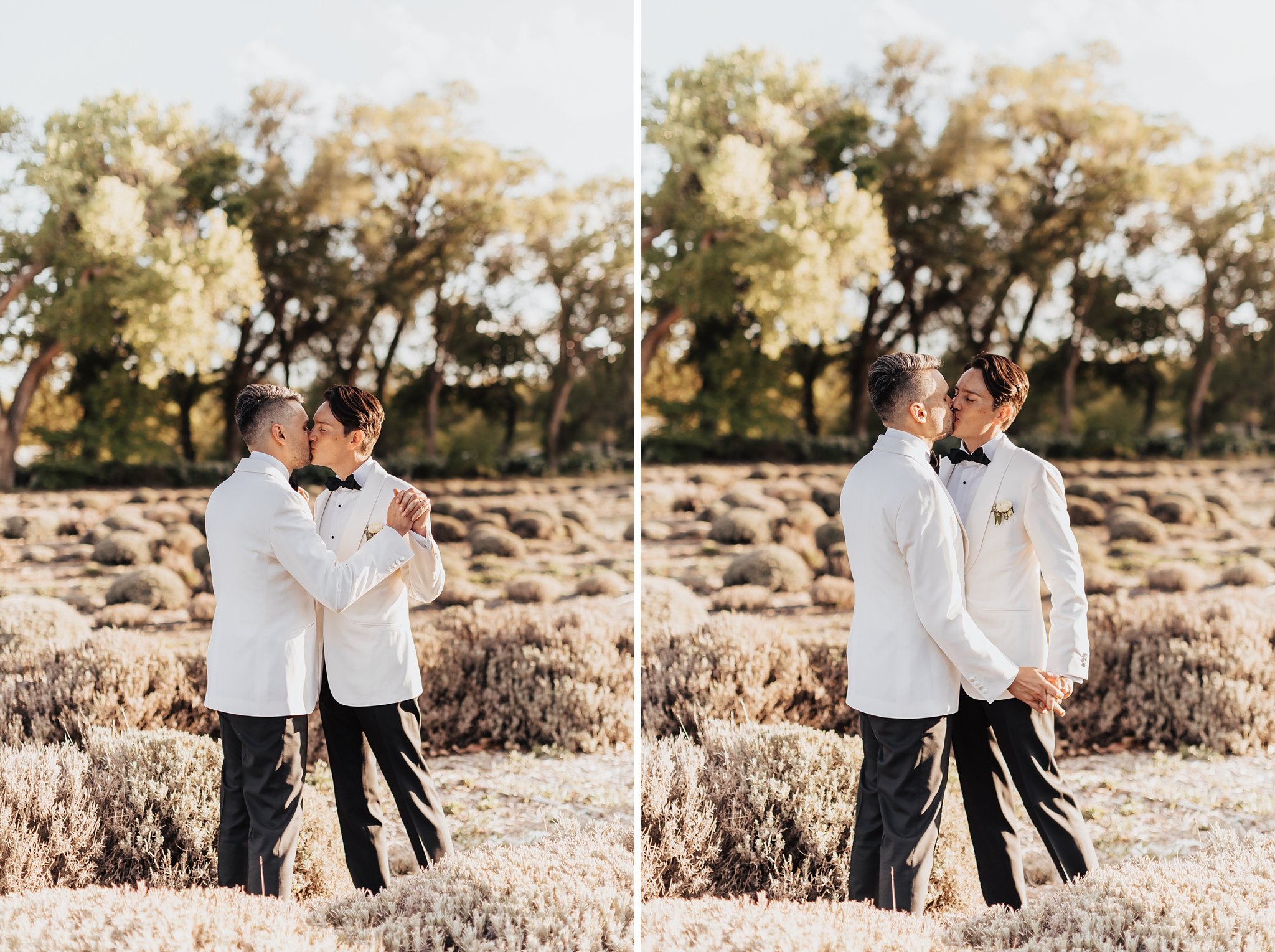 Alicia+lucia+photography+-+albuquerque+wedding+photographer+-+santa+fe+wedding+photography+-+new+mexico+wedding+photographer+-+new+mexico+wedding+-+los+poblanos+wedding+-+lgbtq+wedding+-+southwest+wedding_0106.jpg