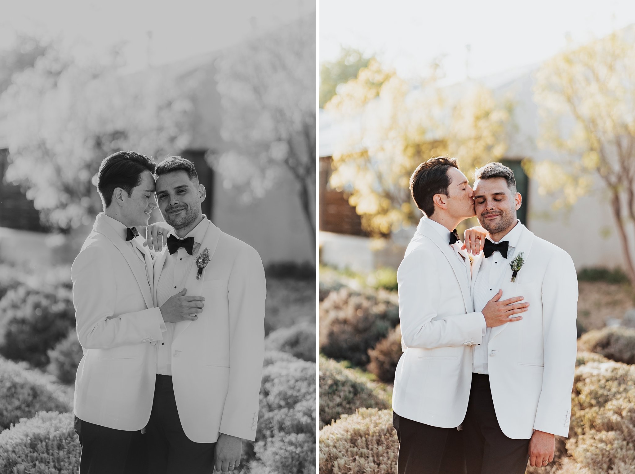 Alicia+lucia+photography+-+albuquerque+wedding+photographer+-+santa+fe+wedding+photography+-+new+mexico+wedding+photographer+-+new+mexico+wedding+-+los+poblanos+wedding+-+lgbtq+wedding+-+southwest+wedding_0109.jpg