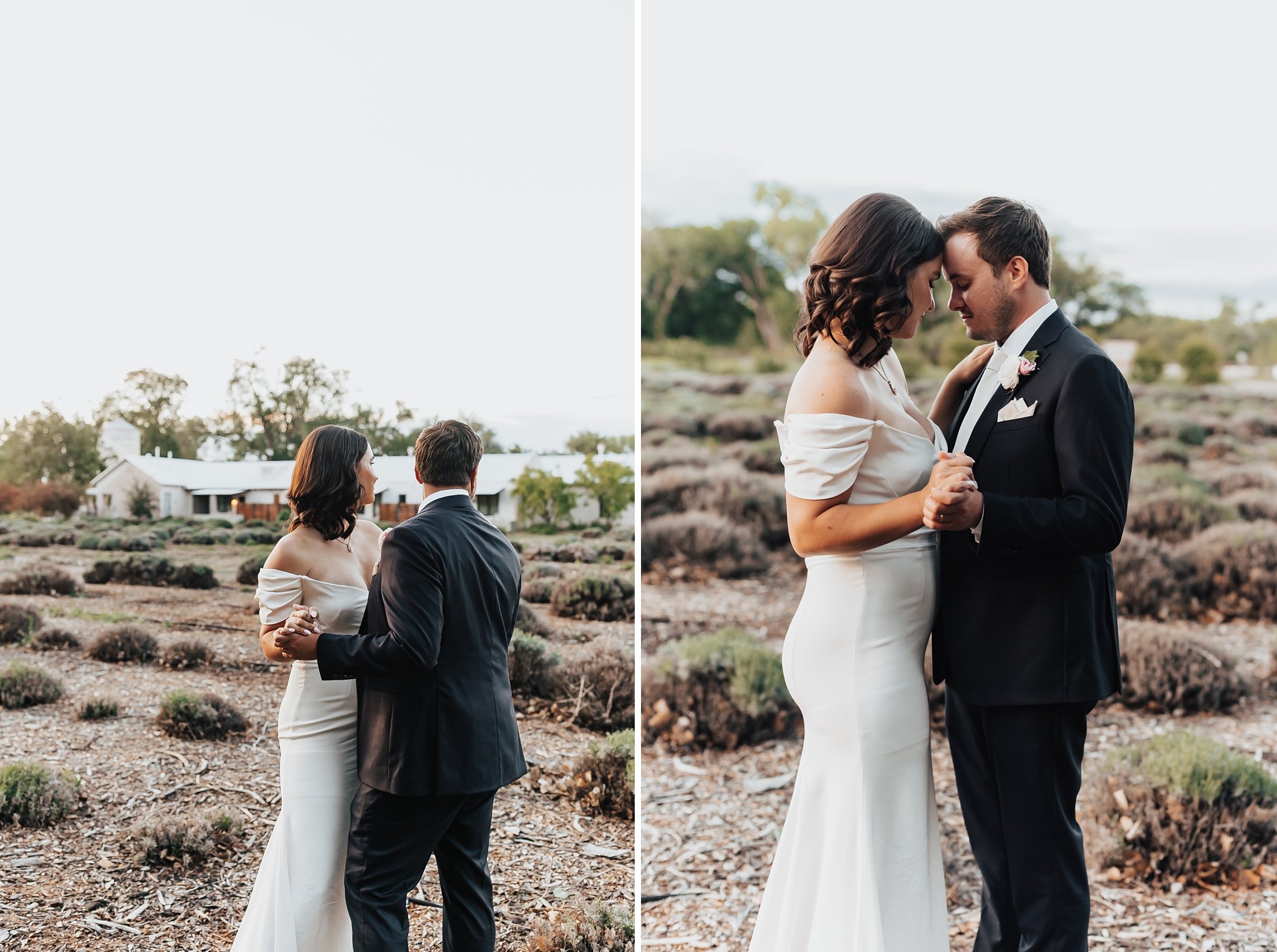 Alicia+lucia+photography+-+albuquerque+wedding+photographer+-+santa+fe+wedding+photography+-+new+mexico+wedding+photographer+-+new+mexico+wedding+-+los+poblanos+-+los+poblanos+wedding+-+destination+wedding_0155.jpg