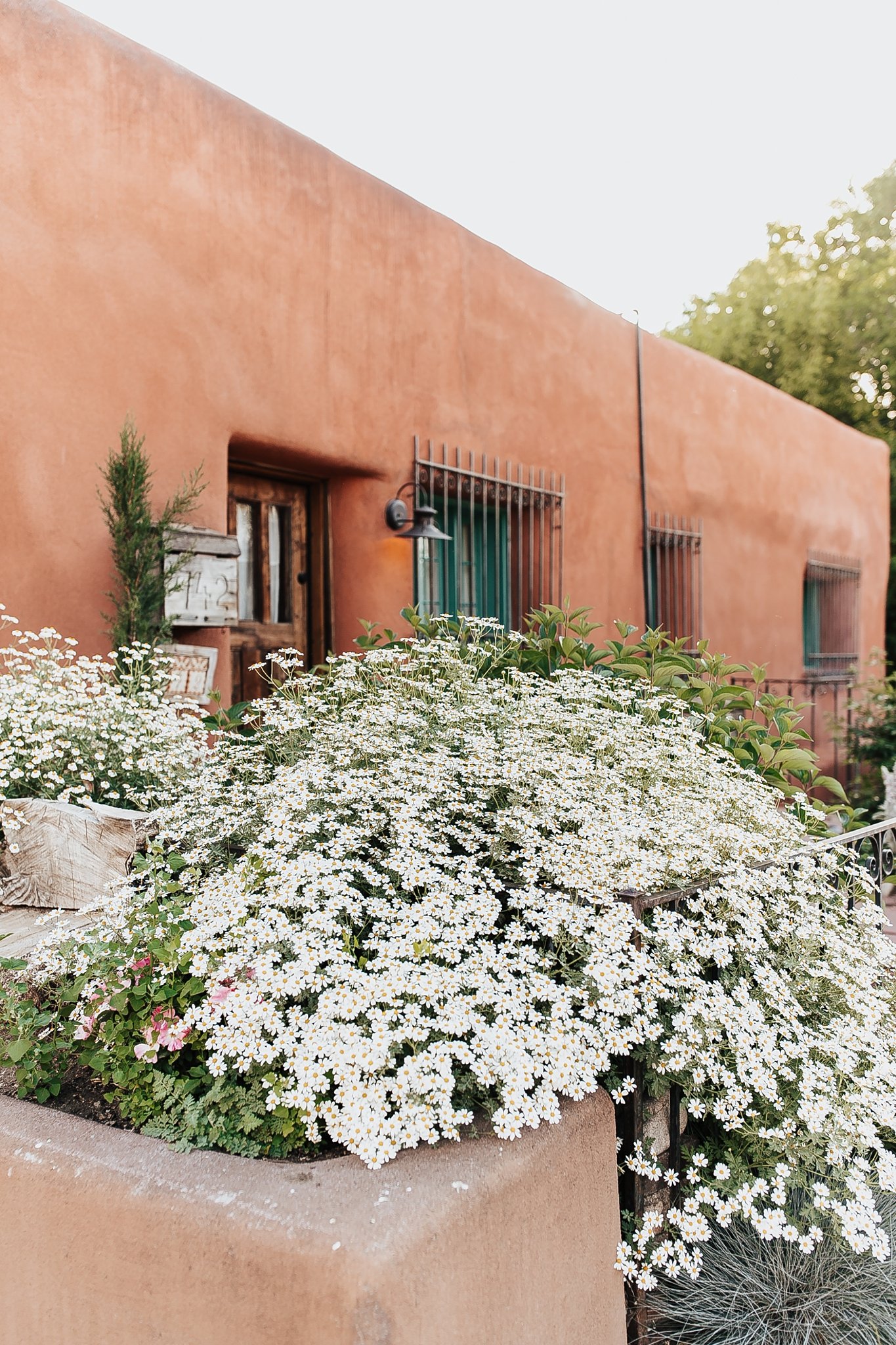 Alicia+lucia+photography+-+albuquerque+wedding+photographer+-+santa+fe+wedding+photography+-+new+mexico+wedding+photographer+-+new+mexico+wedding+-+canyon+road+engagement+-+canyon+road+wedding+-+santa+fe+wedding_0022.jpg