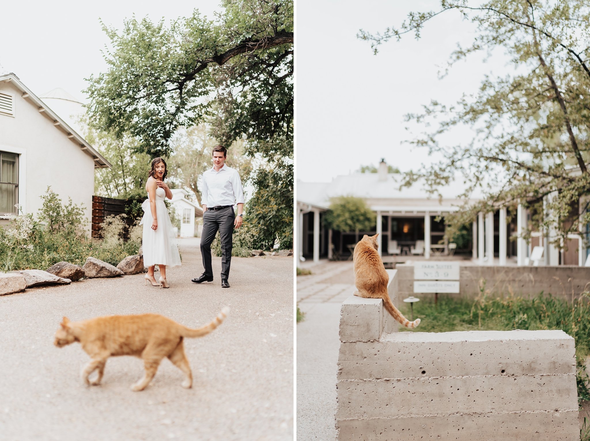 Alicia+lucia+photography+-+albuquerque+wedding+photographer+-+santa+fe+wedding+photography+-+new+mexico+wedding+photographer+-+new+mexico+wedding+-+southwest+engagement+-+los+poblanos+engagement+-+los+poblanos+wedding_0011.jpg