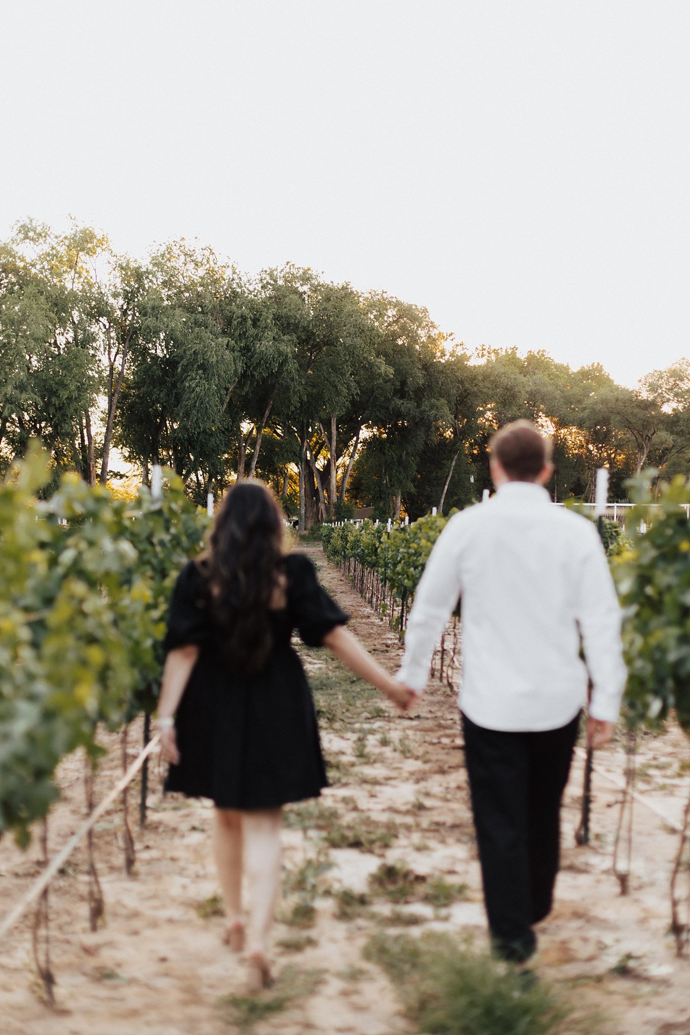 Alicia+lucia+photography+-+albuquerque+wedding+photographer+-+santa+fe+wedding+photography+-+new+mexico+wedding+photographer+-+new+mexico+wedding+-+southwest+engagement+-+vineyard+engagement+-+california+wedding+-+ranch+engagement_0053.jpg