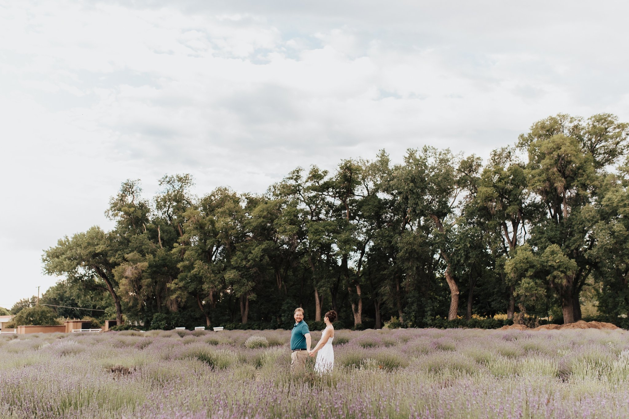 Alicia+lucia+photography+-+albuquerque+wedding+photographer+-+santa+fe+wedding+photography+-+new+mexico+wedding+photographer+-+new+mexico+wedding+-+los+poblanos+engagement+-+los+poblanos+wedding+-+southwest+wedding_0014.jpg